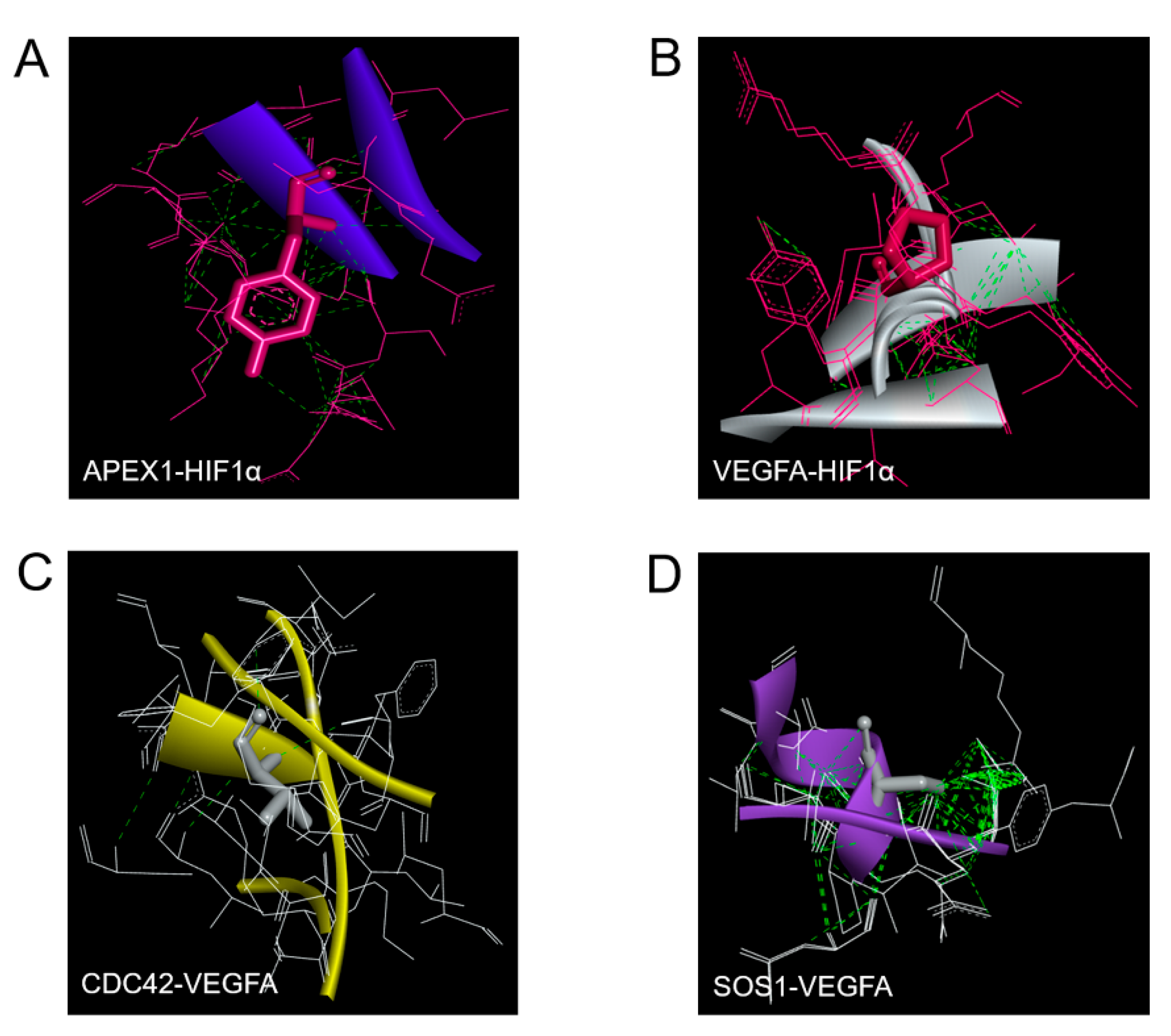 Molecules 26 02587 g005