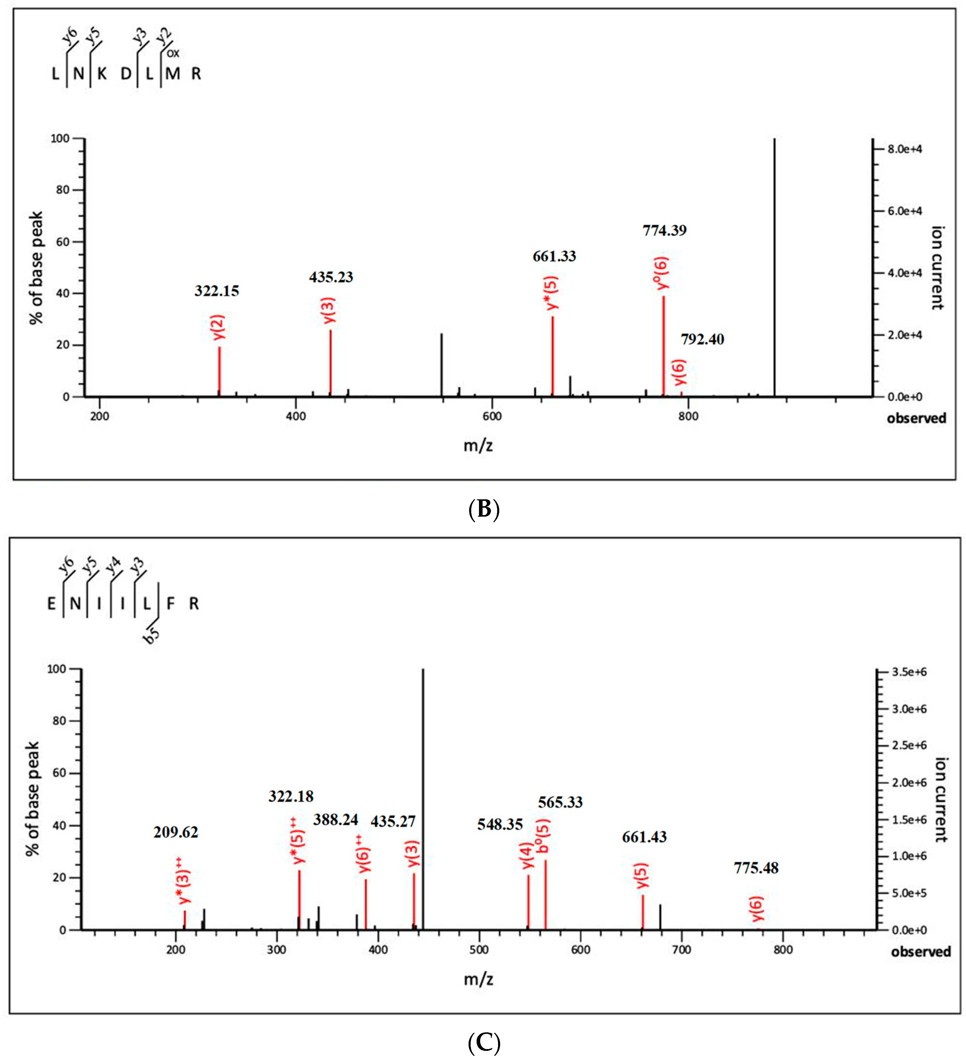 Molecules 26 02588 g003b Molecules 26 02588 g003b