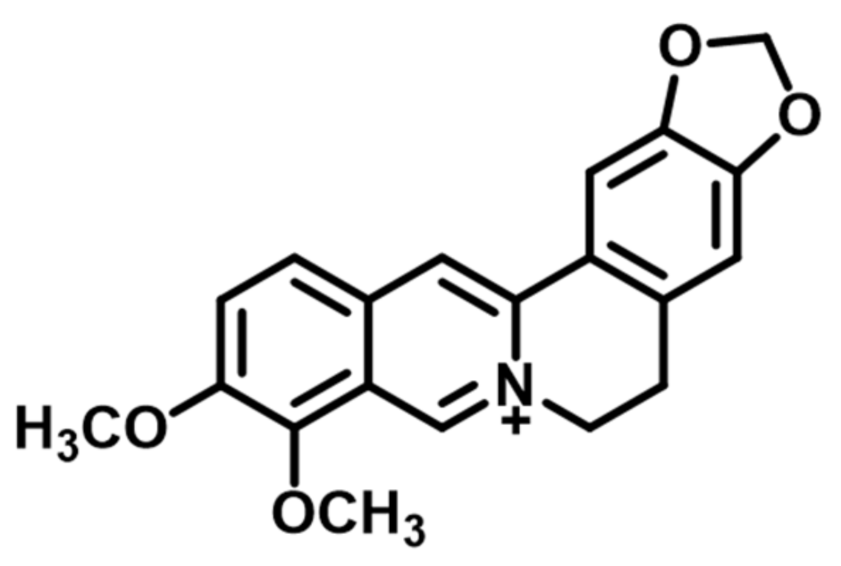 Molecules 26 02591 g001