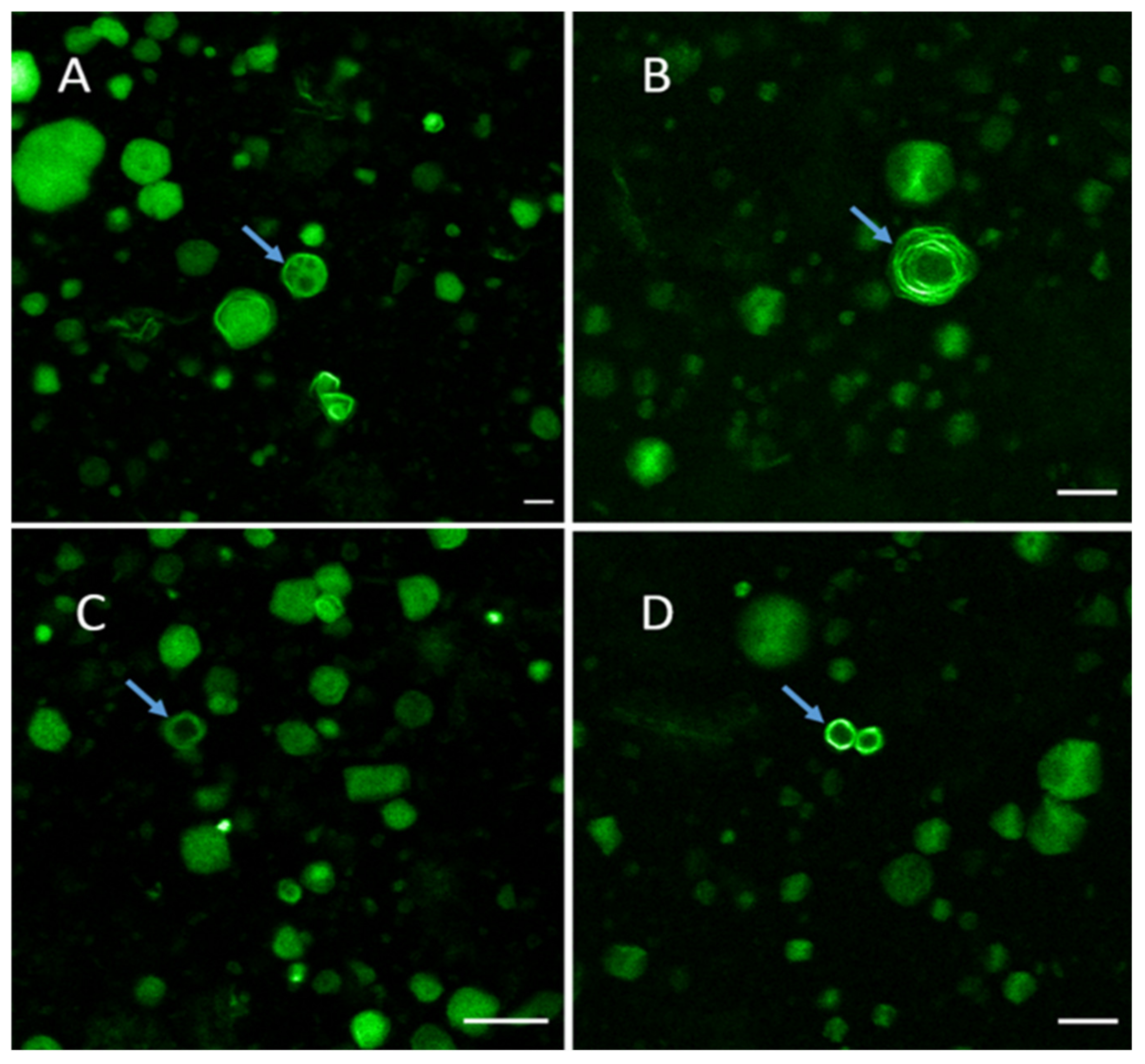 Molecules 26 02591 g005