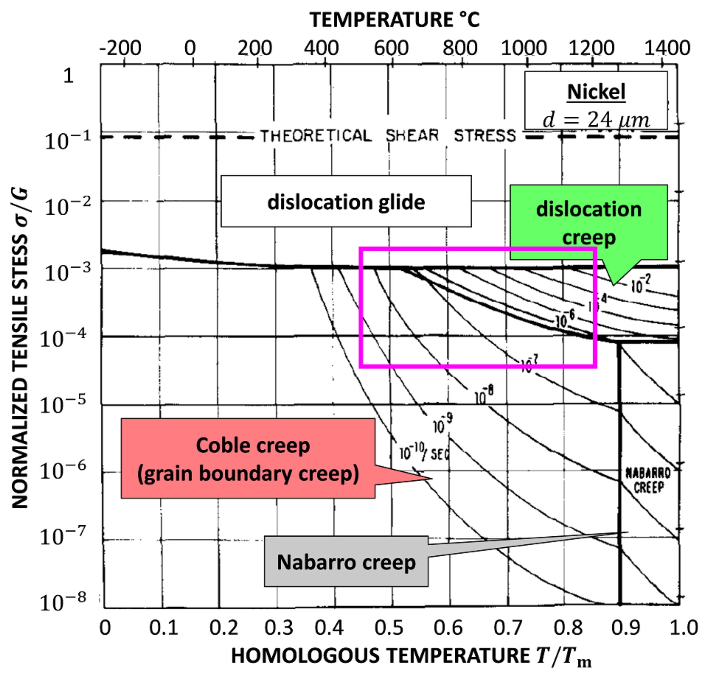 Molecules 26 02606 g006