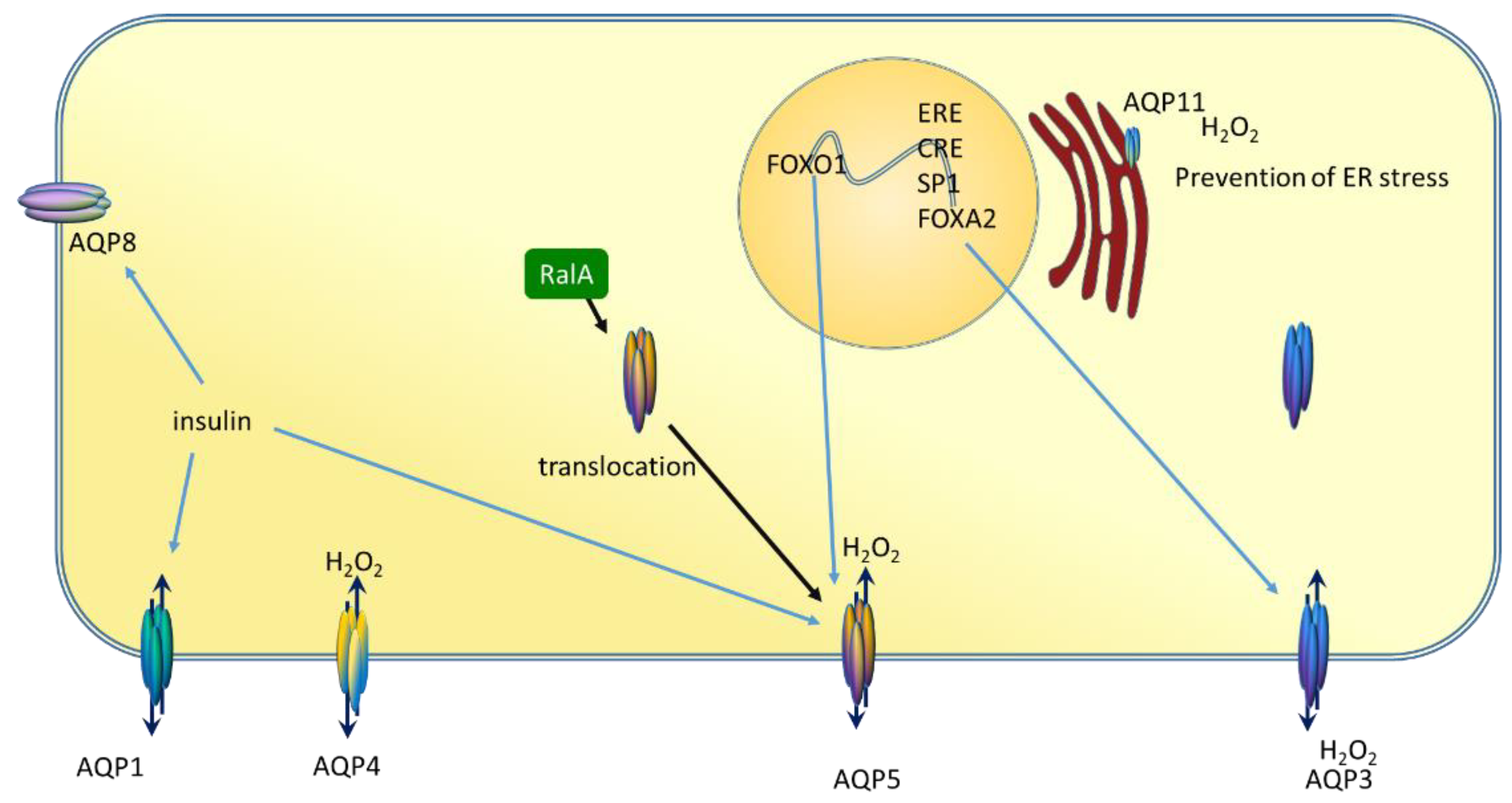 Molecules 26 02613 g001