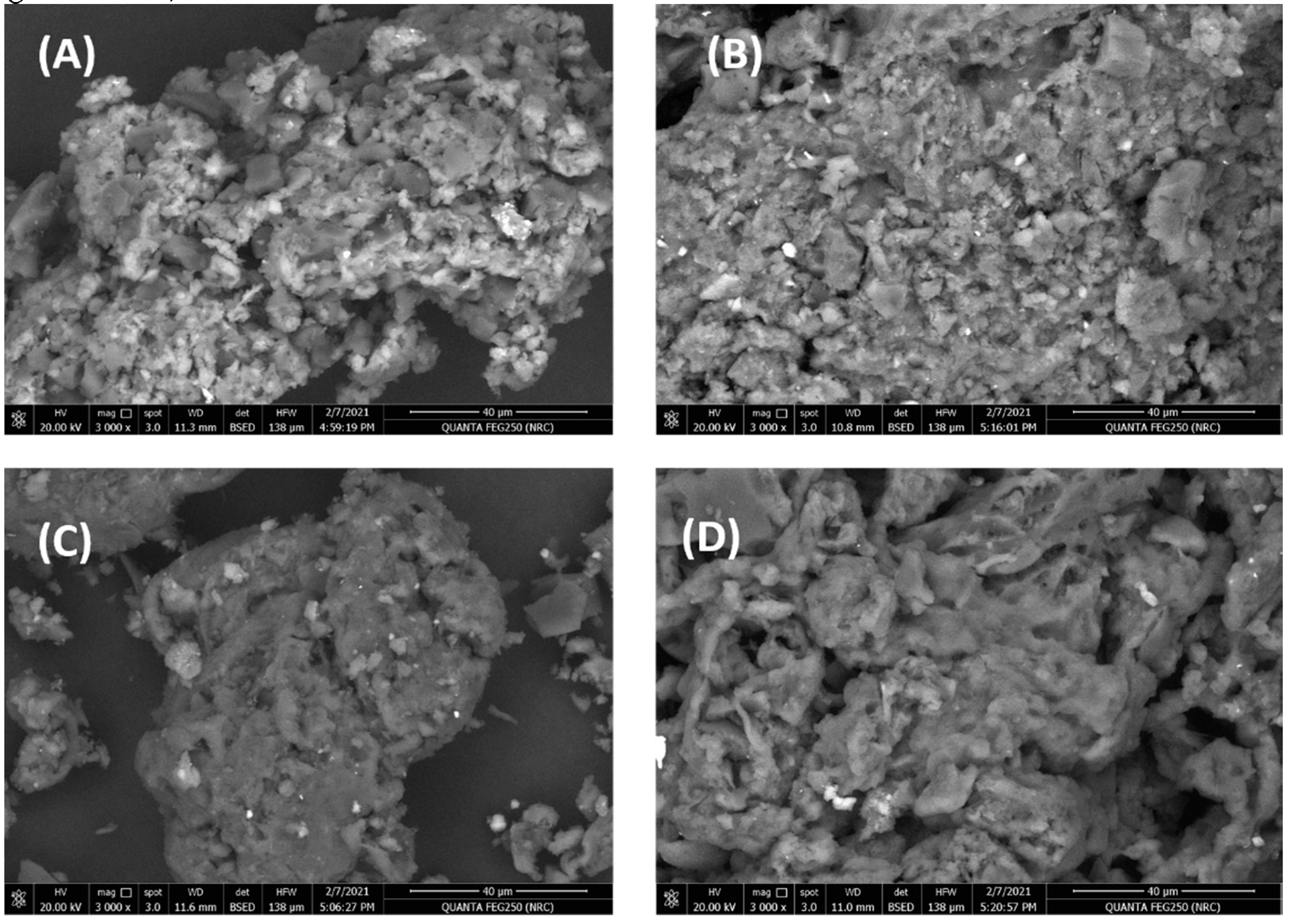 Molecules 26 02617 g003