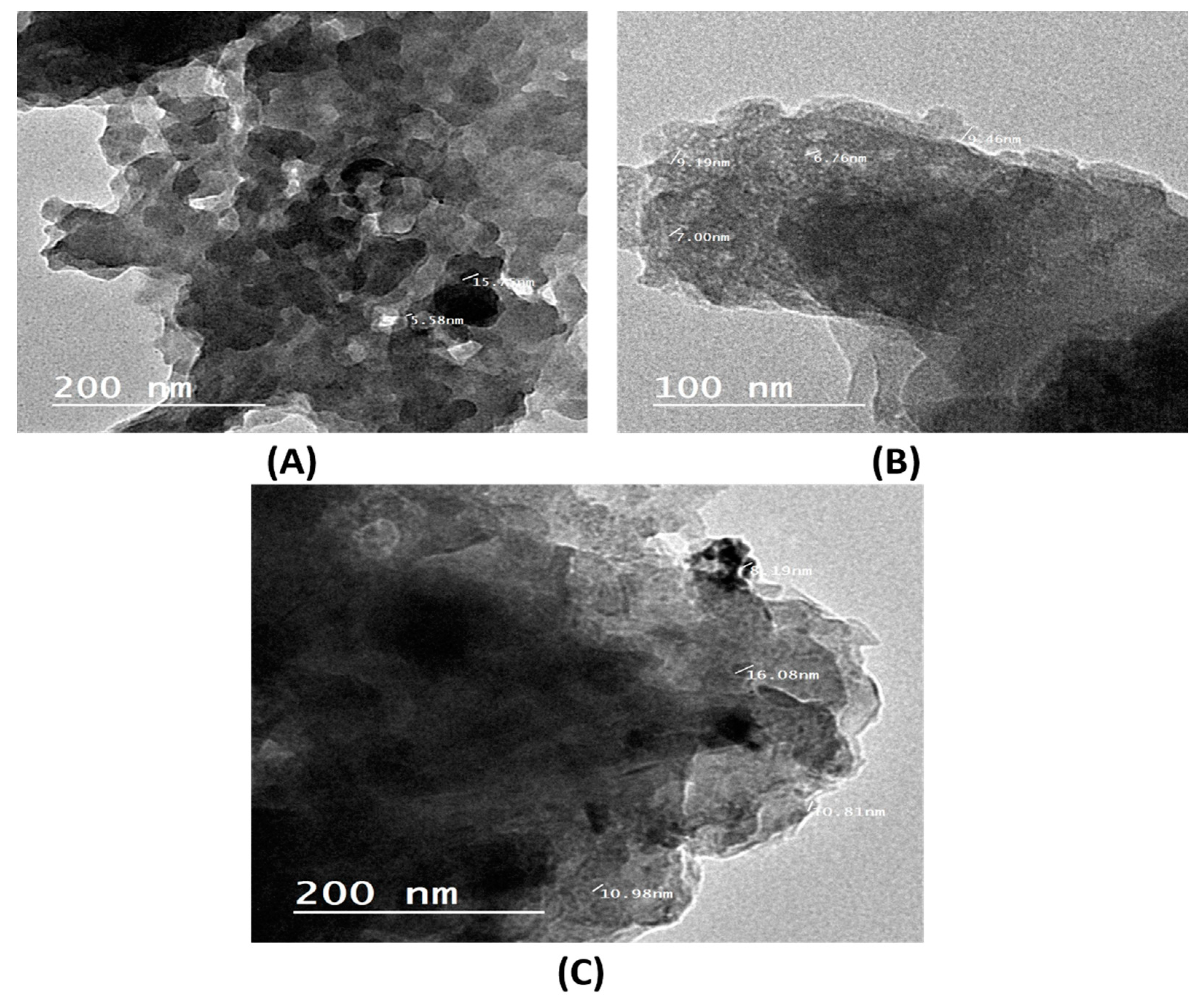 Molecules 26 02617 g005