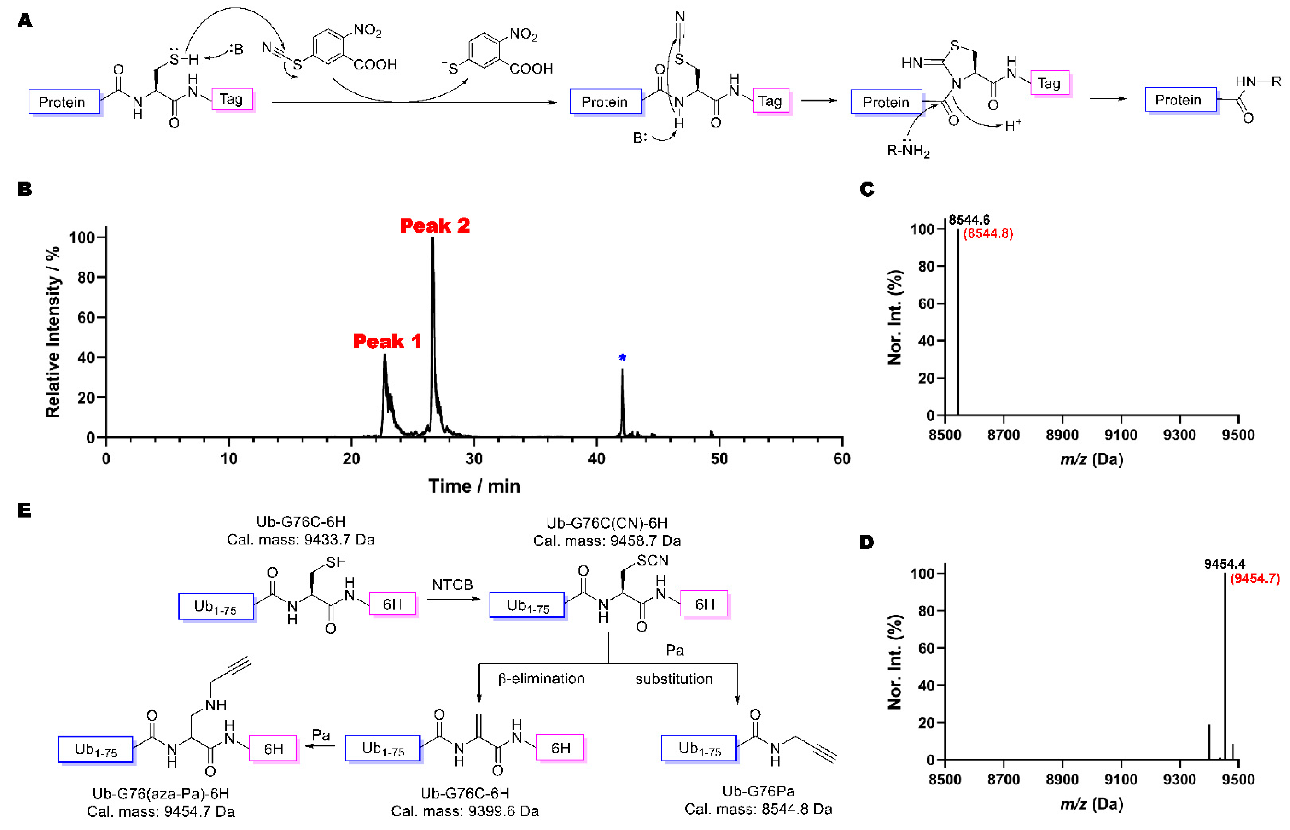 Molecules 26 02619 g001 Molecules 26 02619 g001