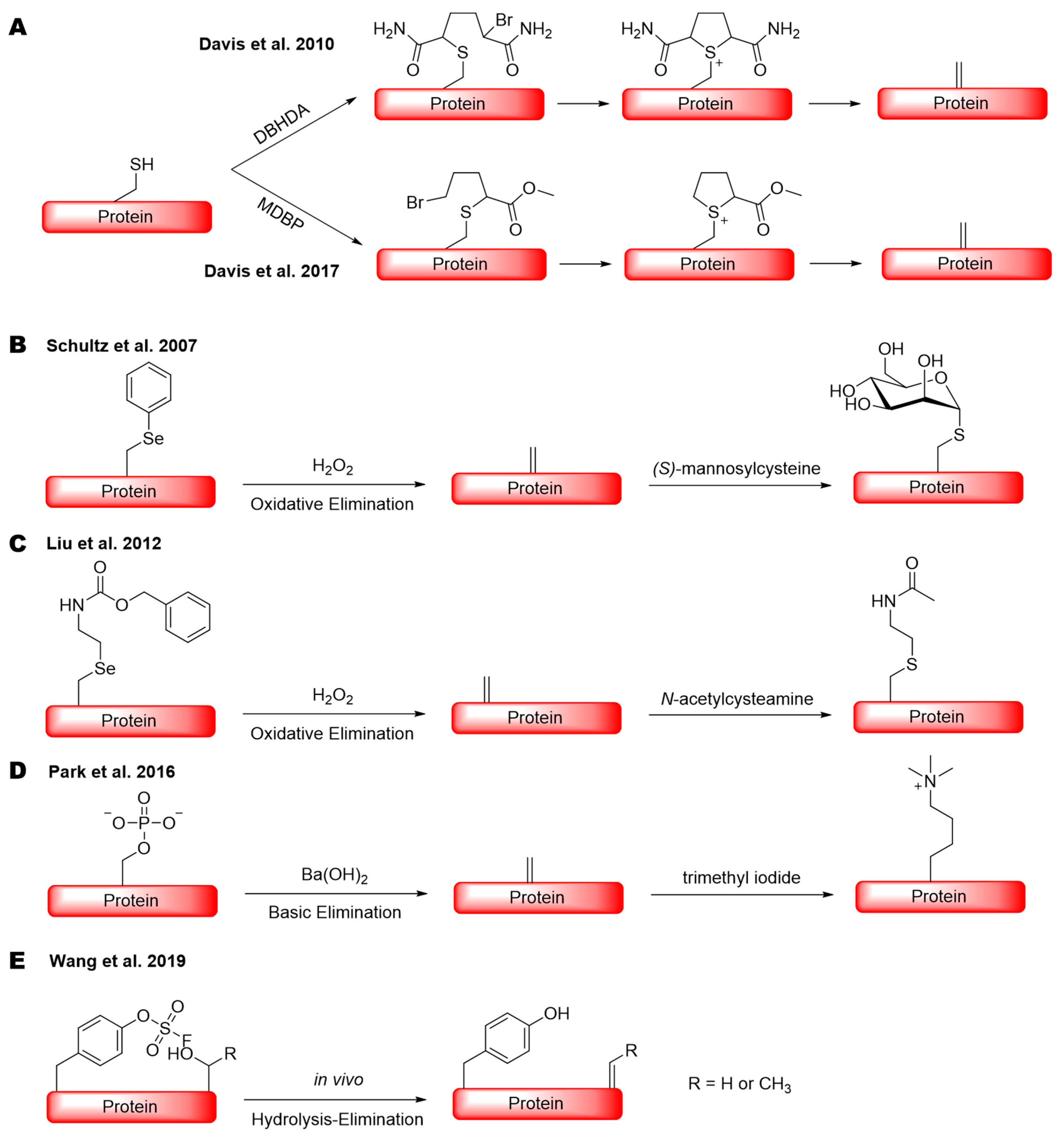 Molecules 26 02619 sch001 Molecules 26 02619 sch001