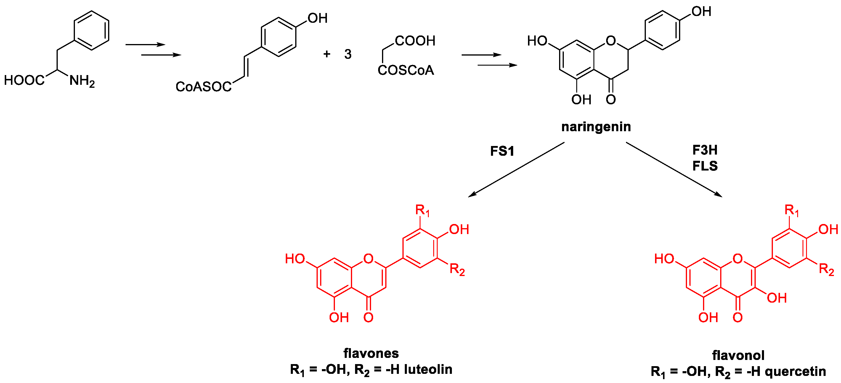 Molecules 26 02620 sch038
