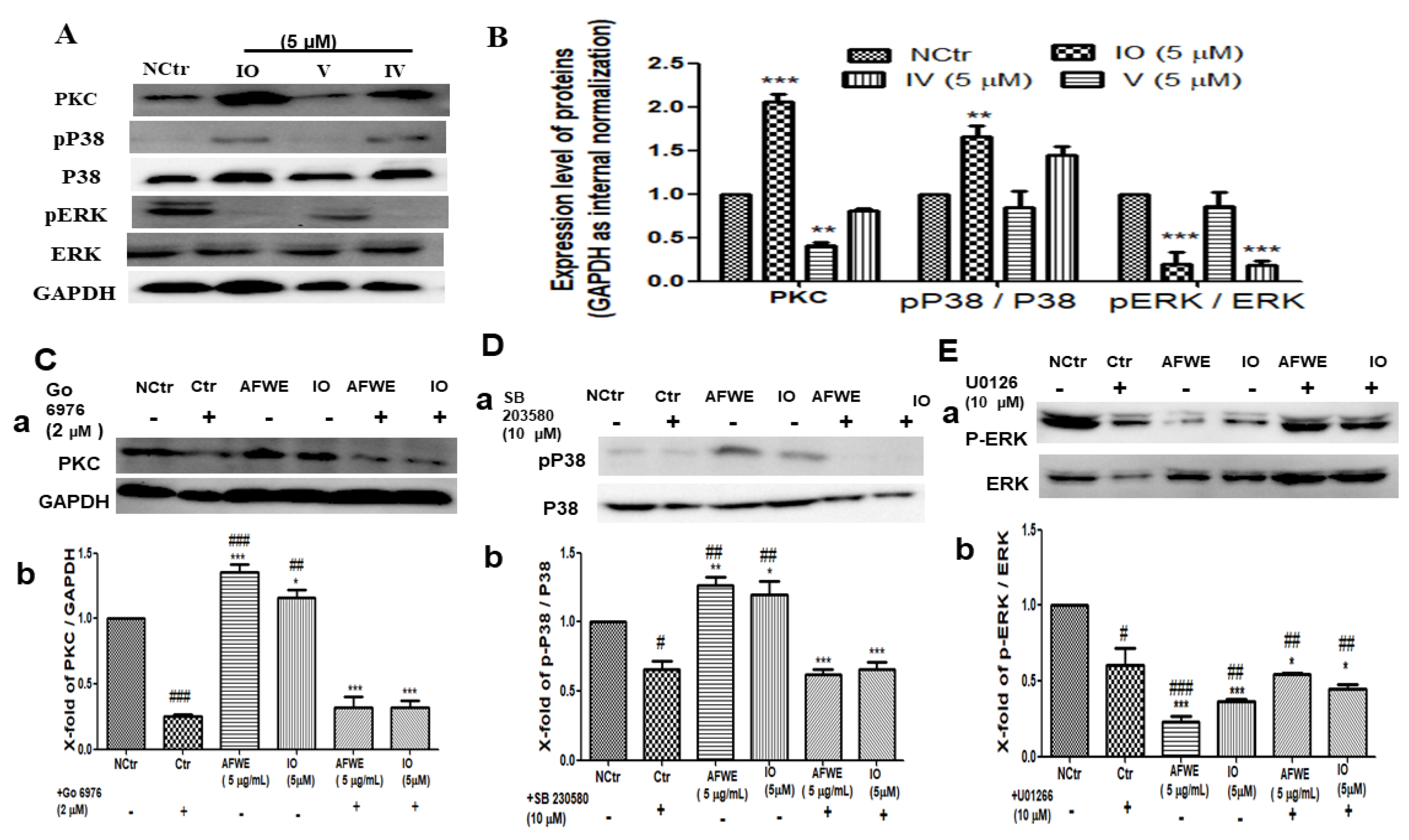 Molecules 26 02626 g005