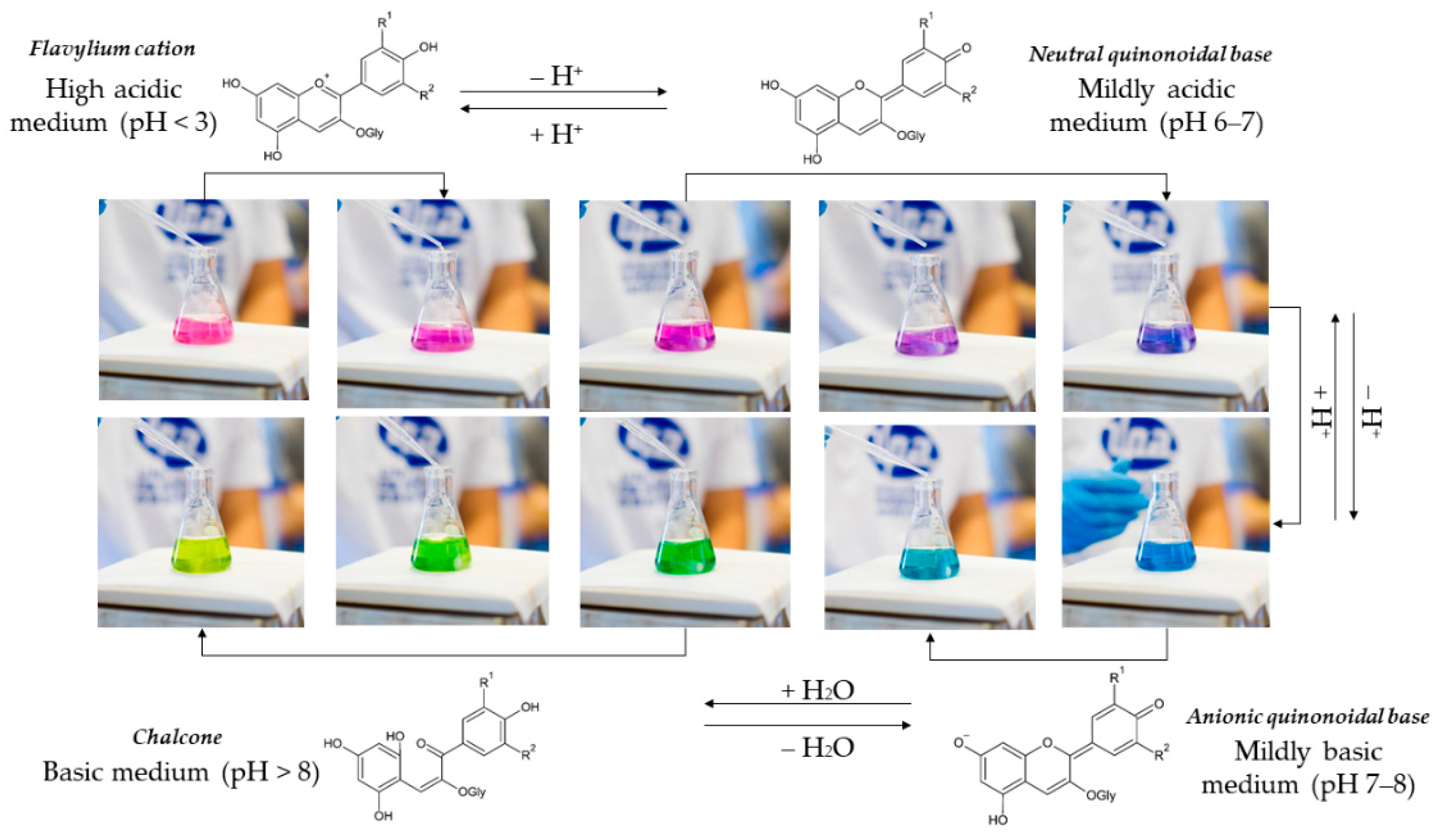 Molecules 26 02632 g002