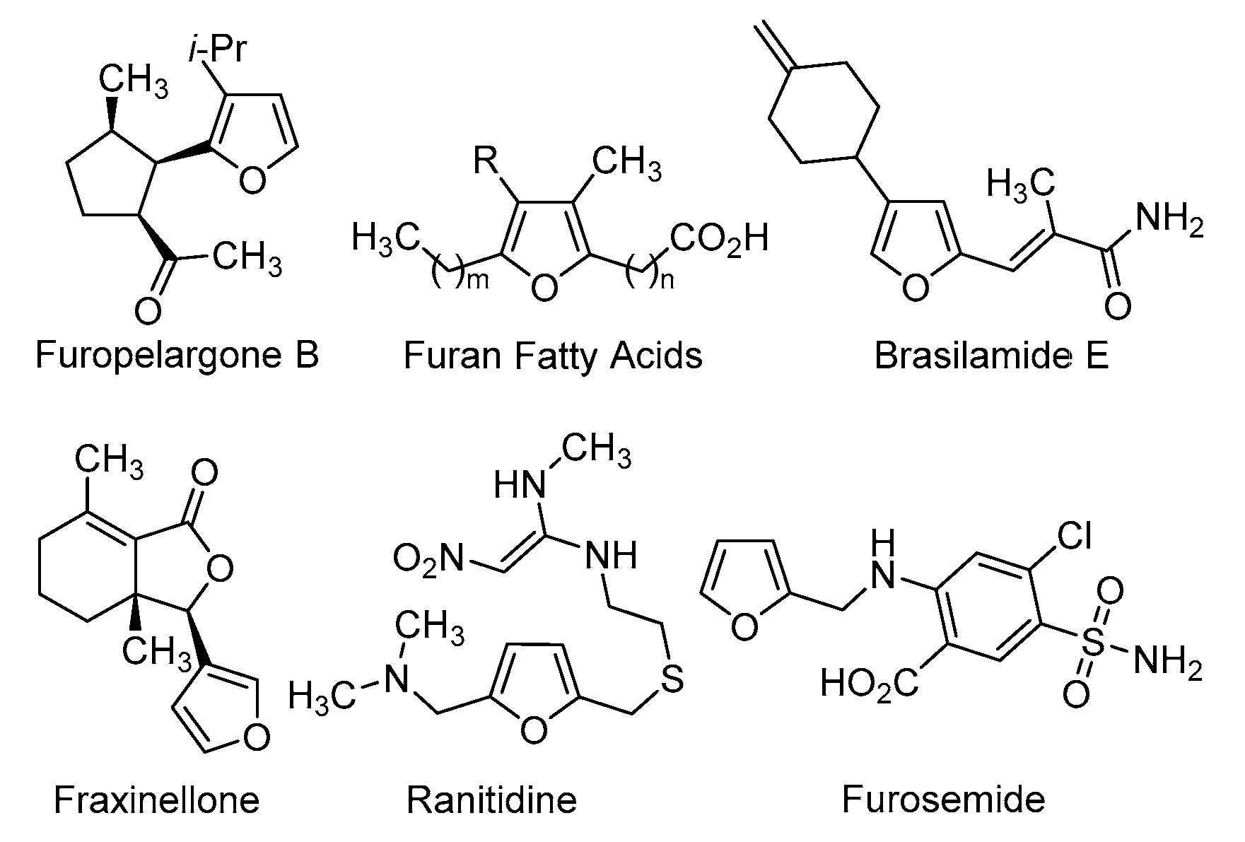 Molecules 26 02637 g001