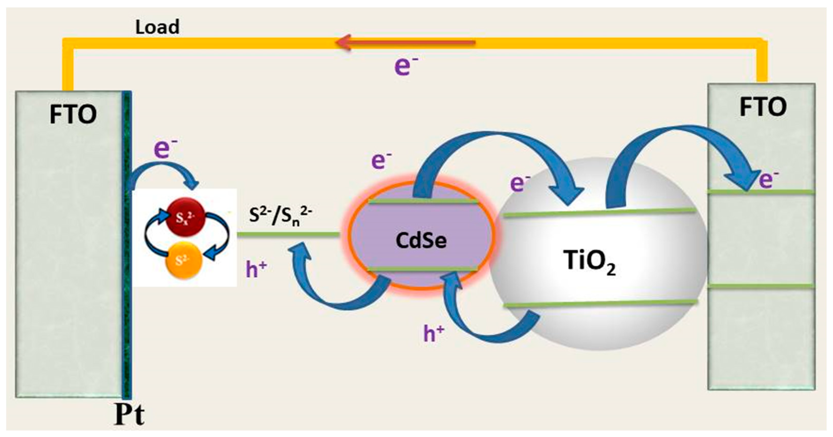 Molecules 26 02638 g001