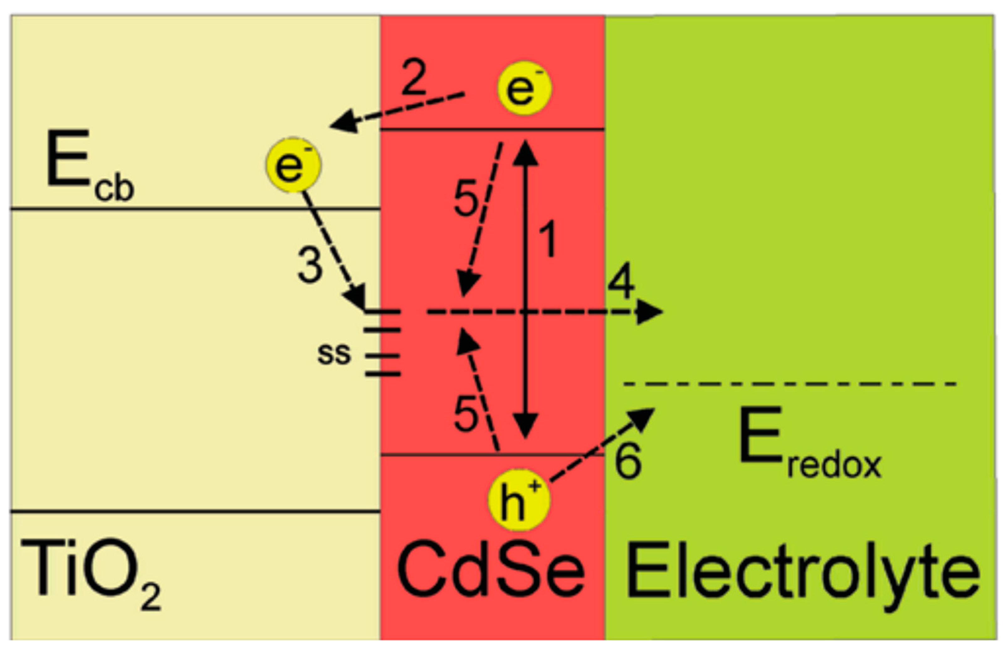 Molecules 26 02638 g003