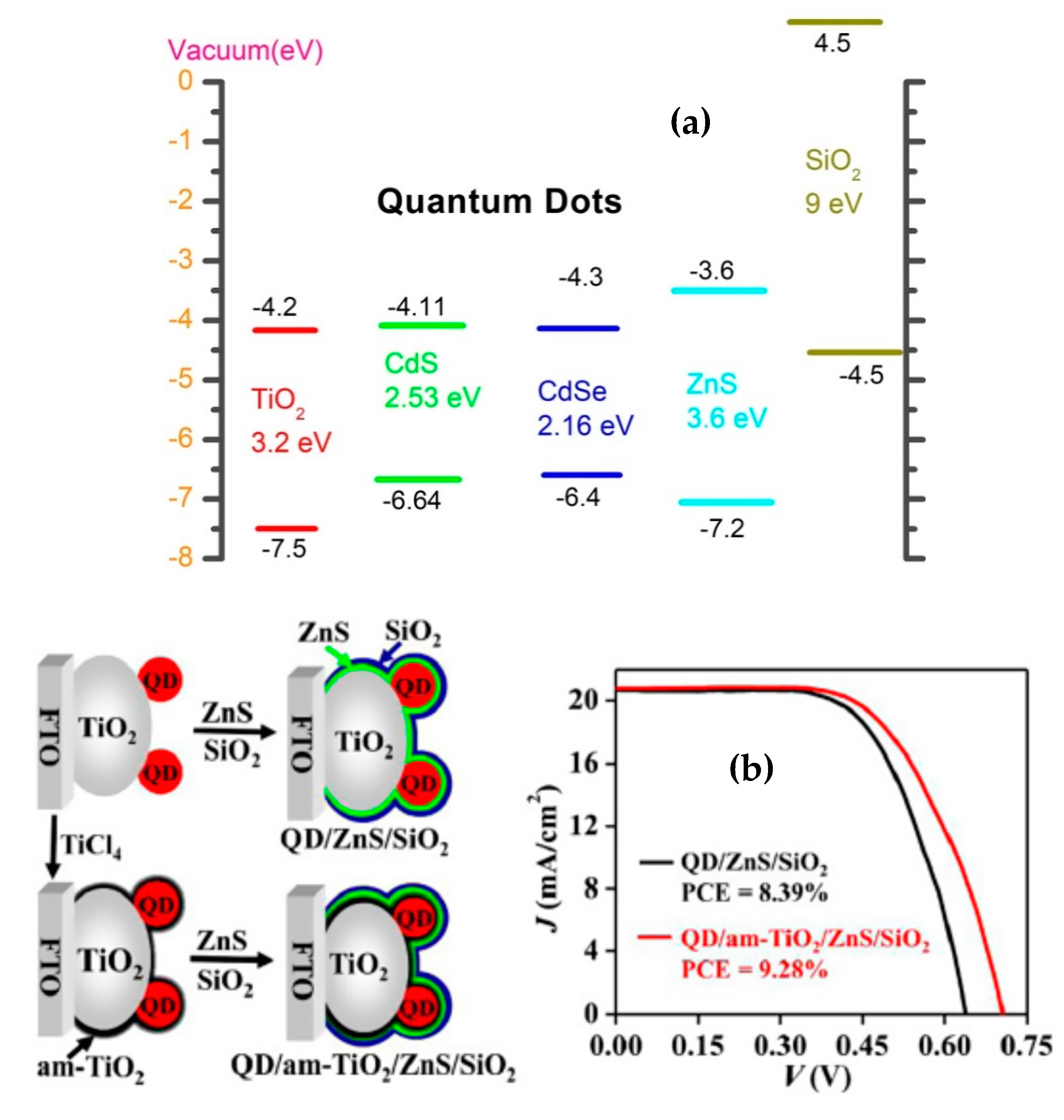 Molecules 26 02638 g005