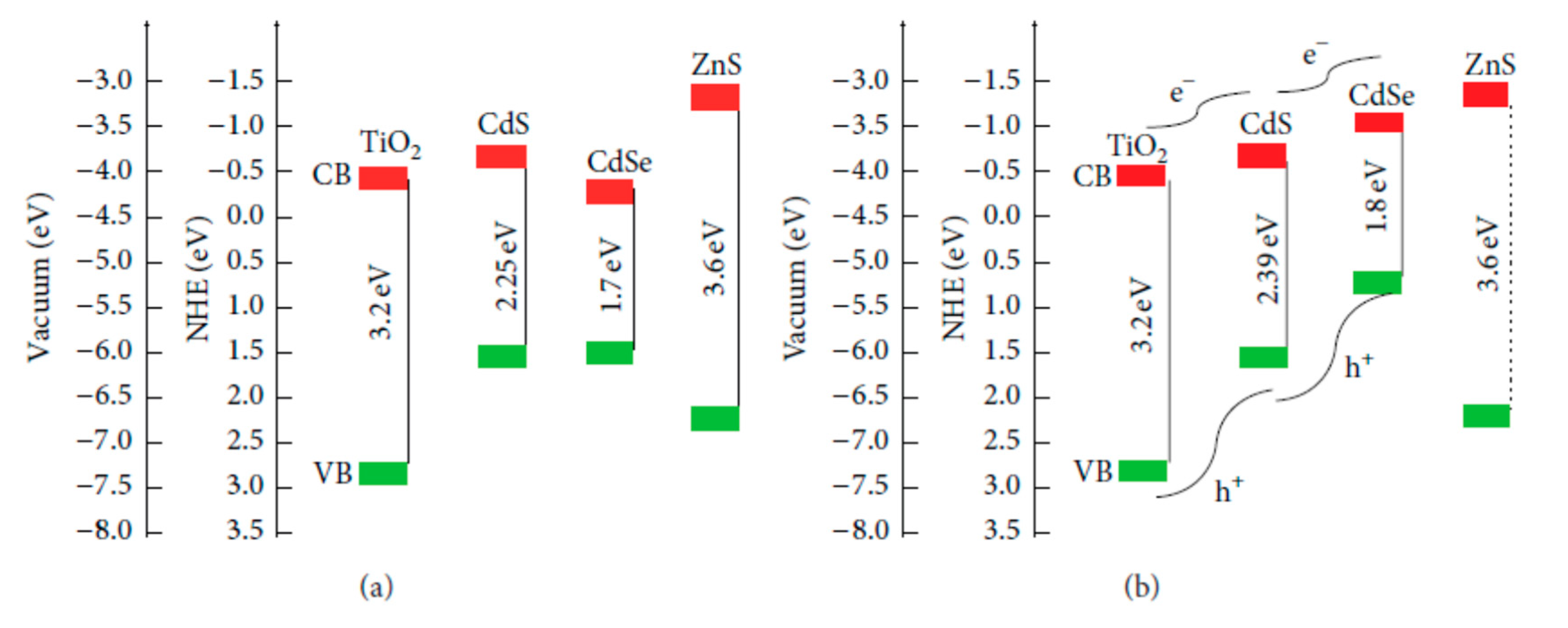 Molecules 26 02638 g006