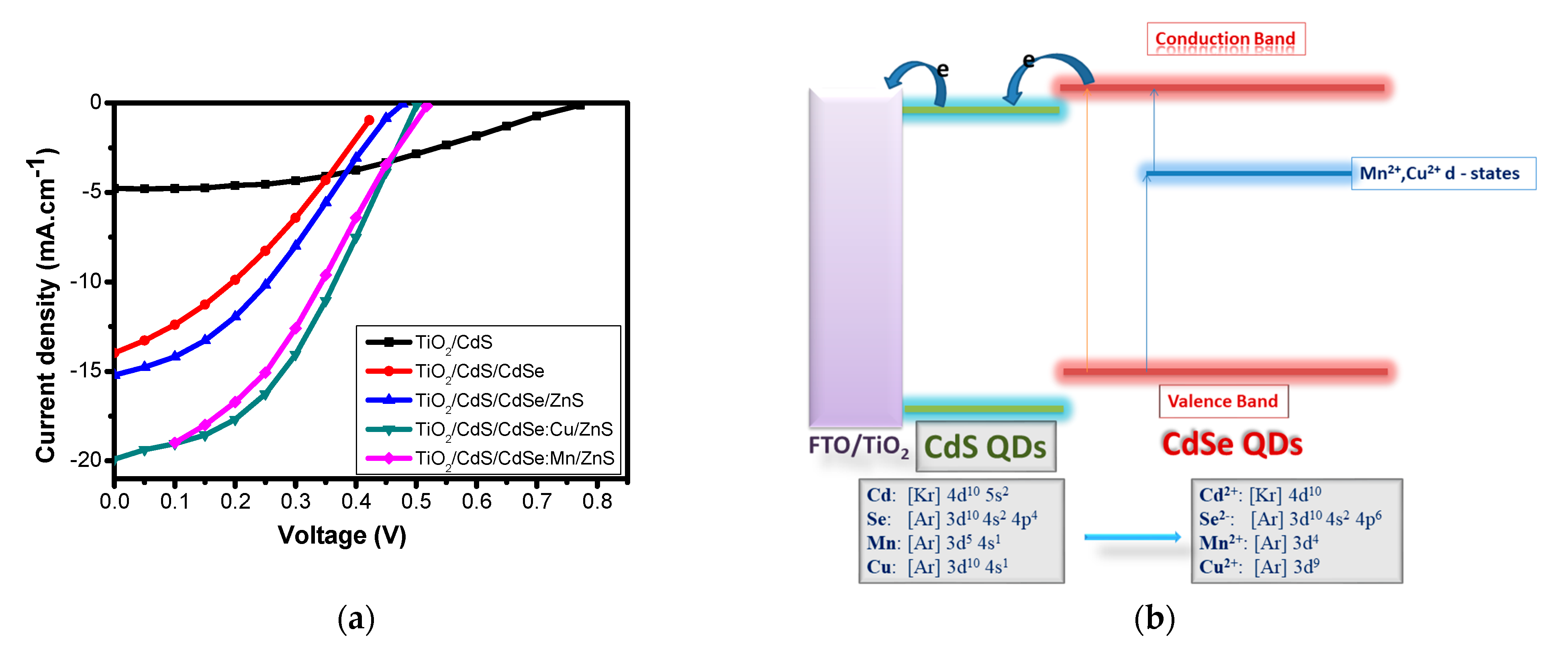 Molecules 26 02638 g007