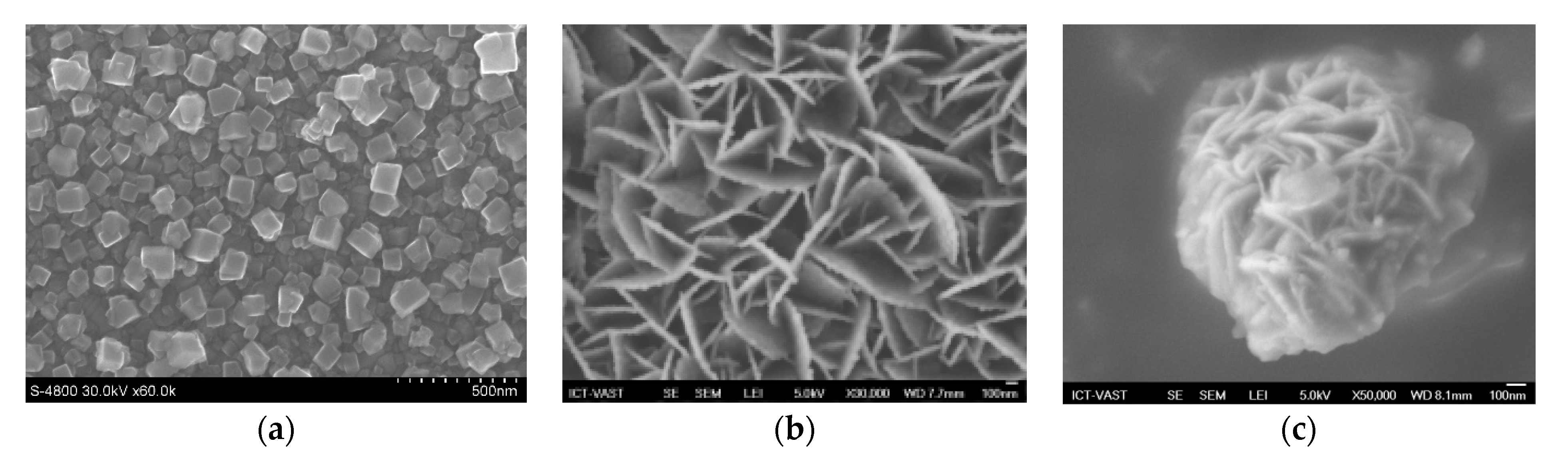 Molecules 26 02638 g008