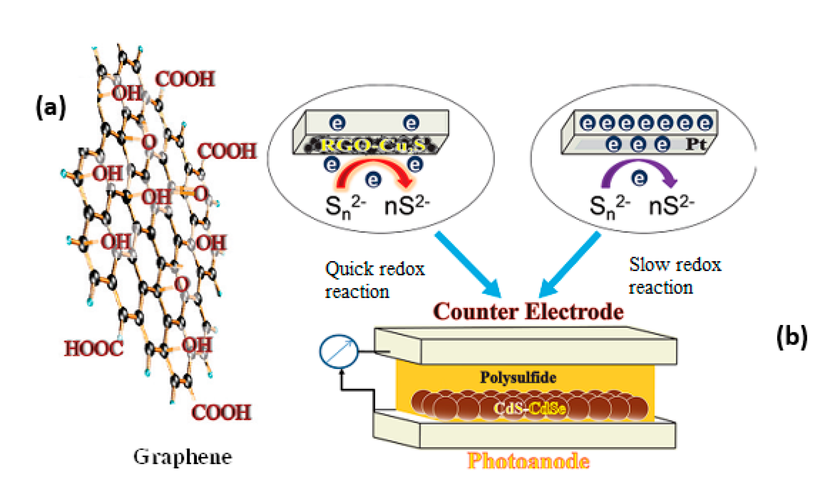 Molecules 26 02638 g010