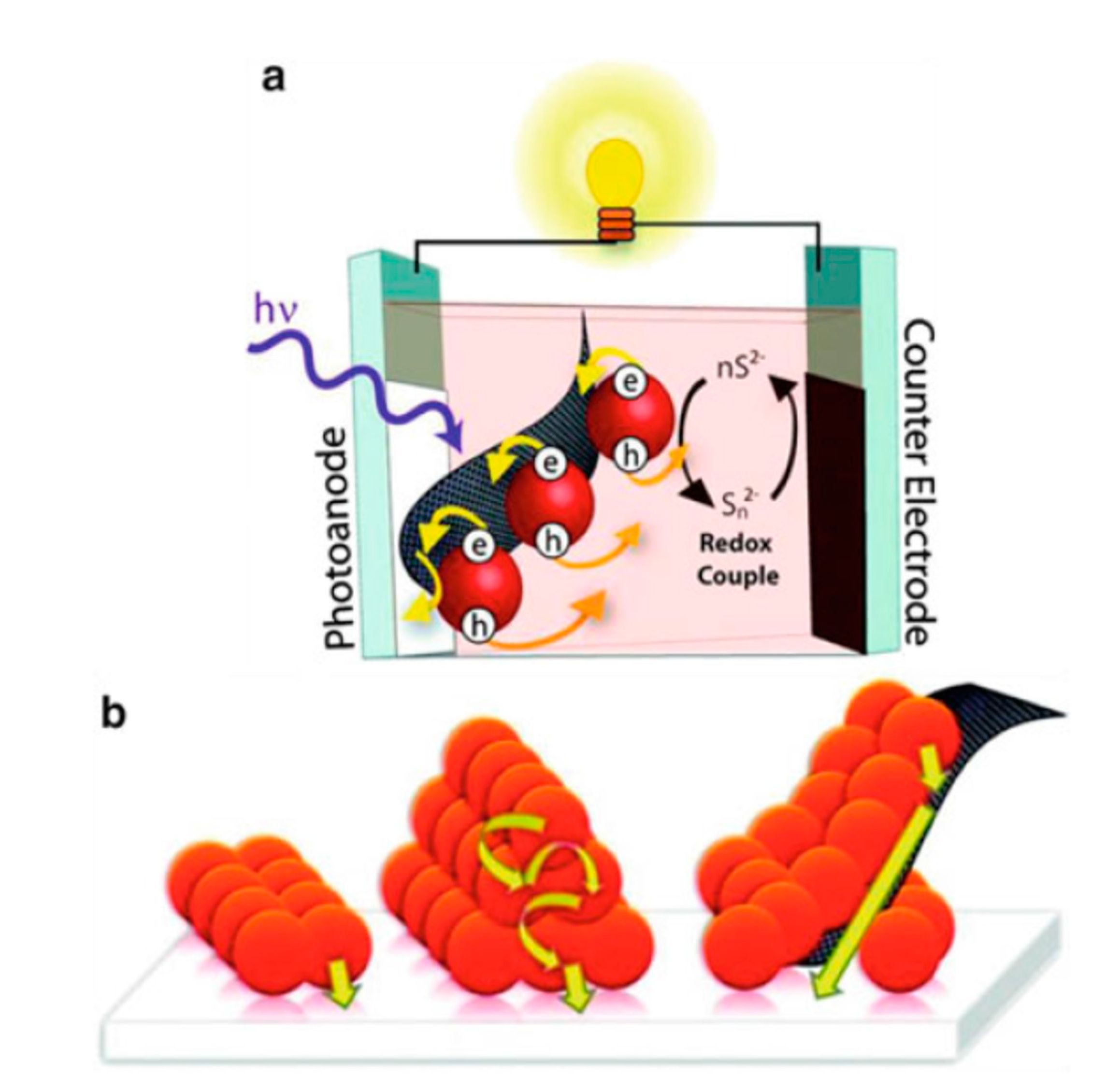 Molecules 26 02638 g012