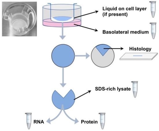 Molecules 26 02639 g002