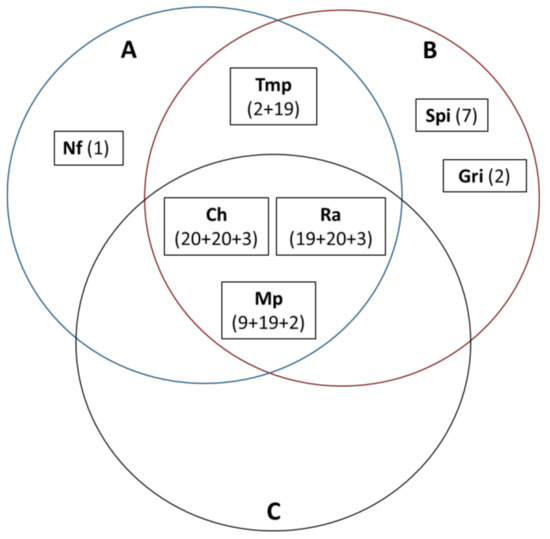 Molecules 26 02645 g003
