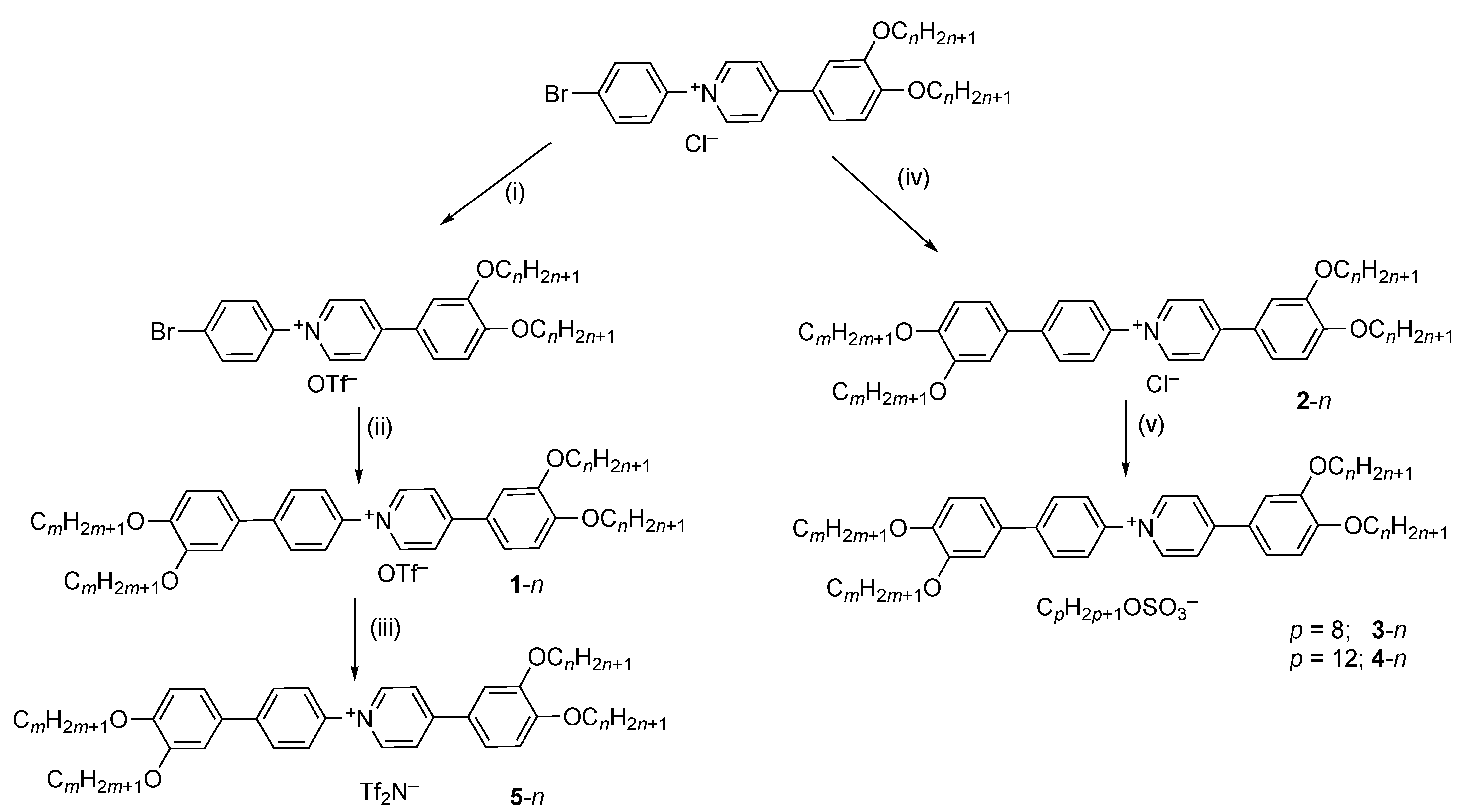 Molecules 26 02653 g001
