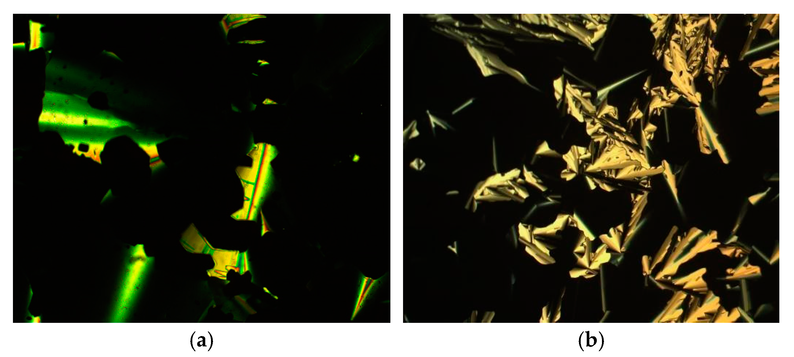 Molecules 26 02653 g005