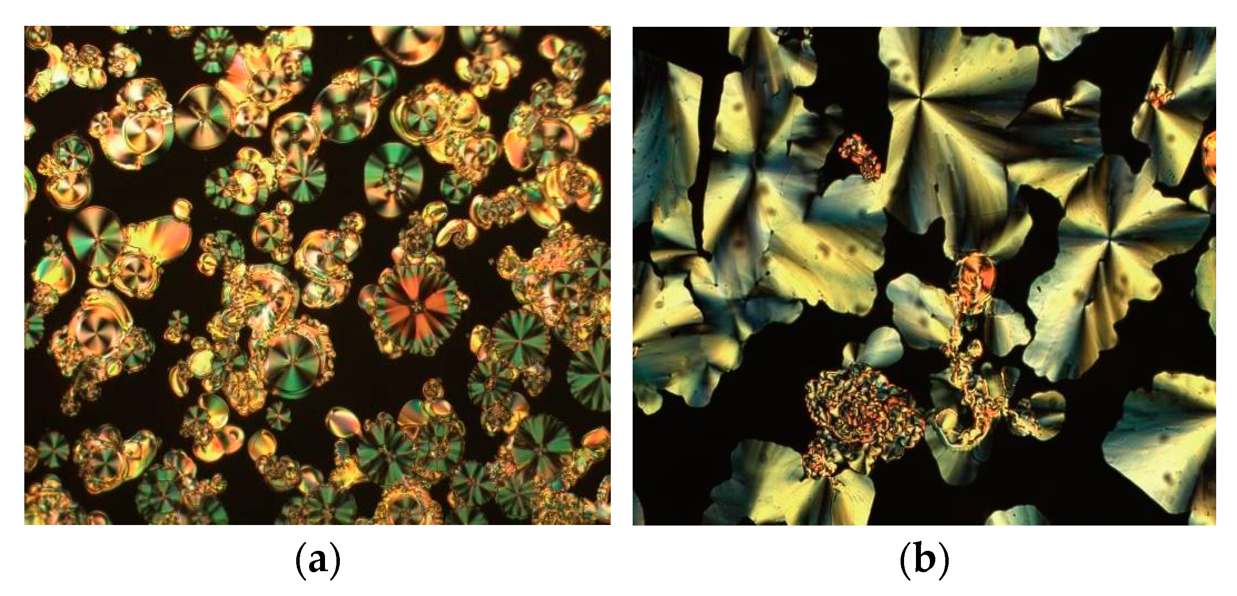 Molecules 26 02653 g008a