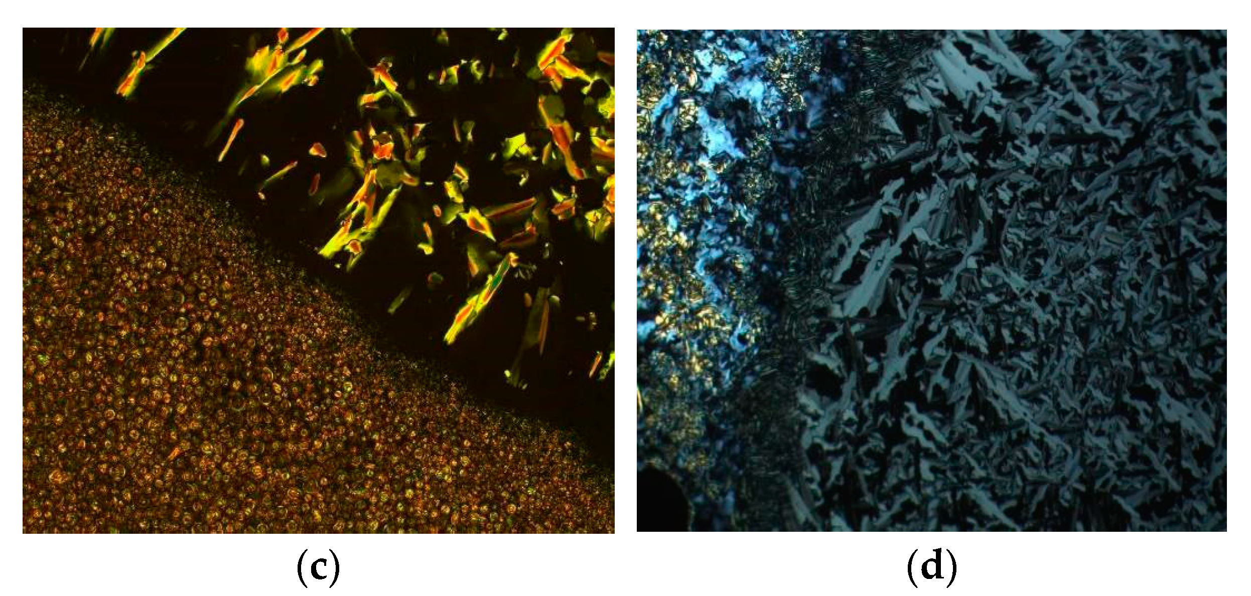 Molecules 26 02653 g008b