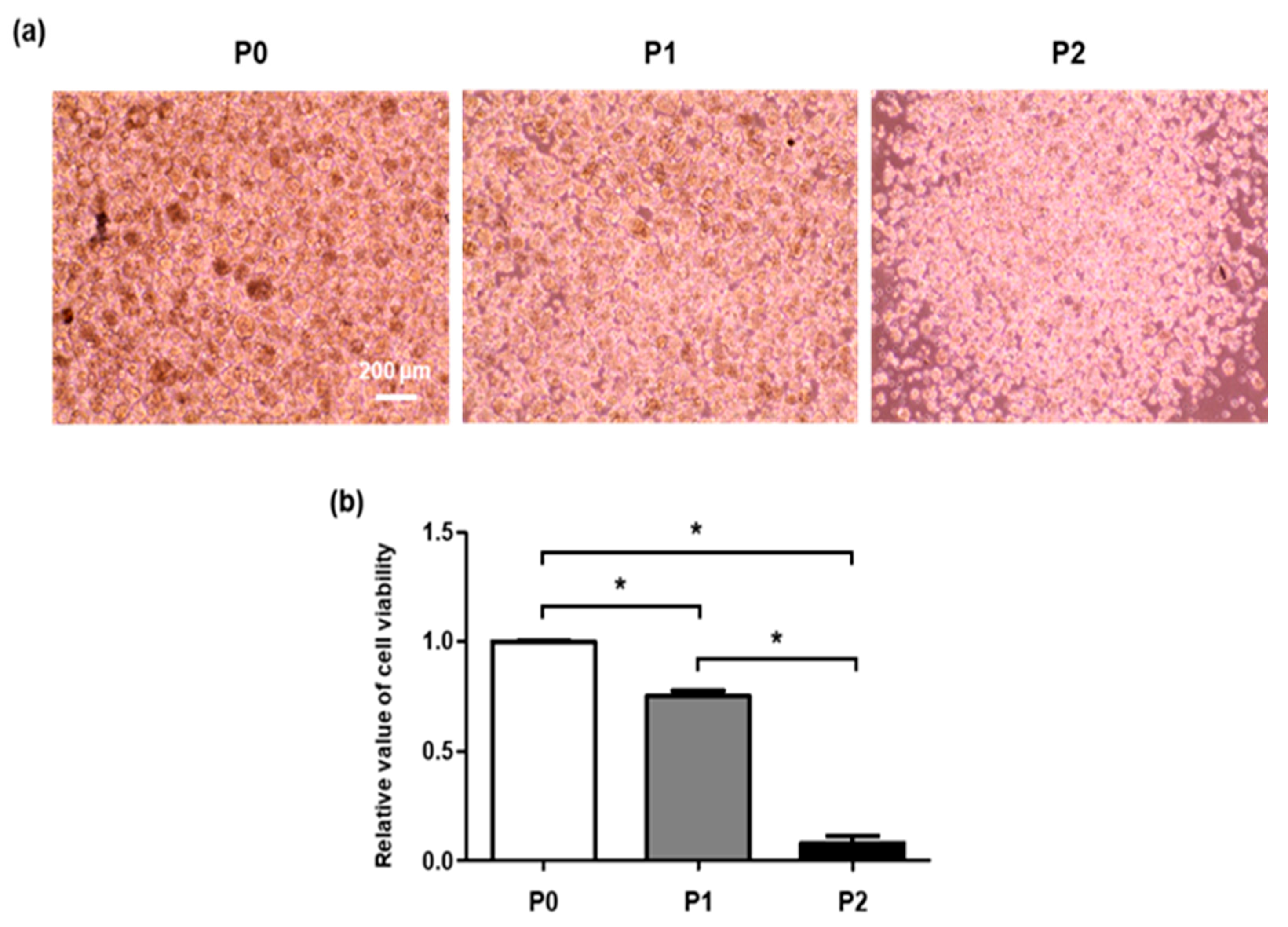 Molecules 26 02658 g001