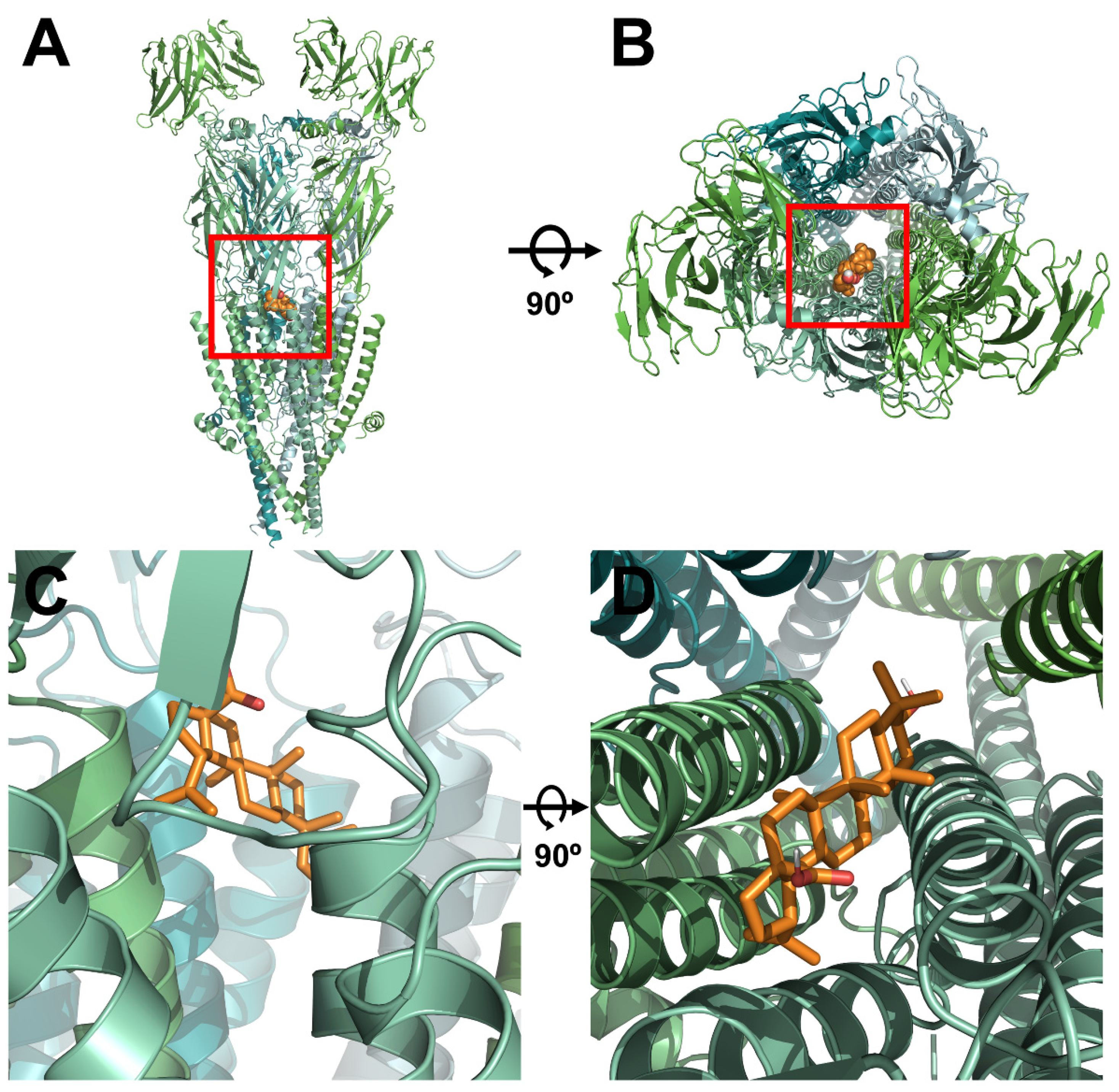 Molecules 26 02659 g003 Molecules 26 02659 g003