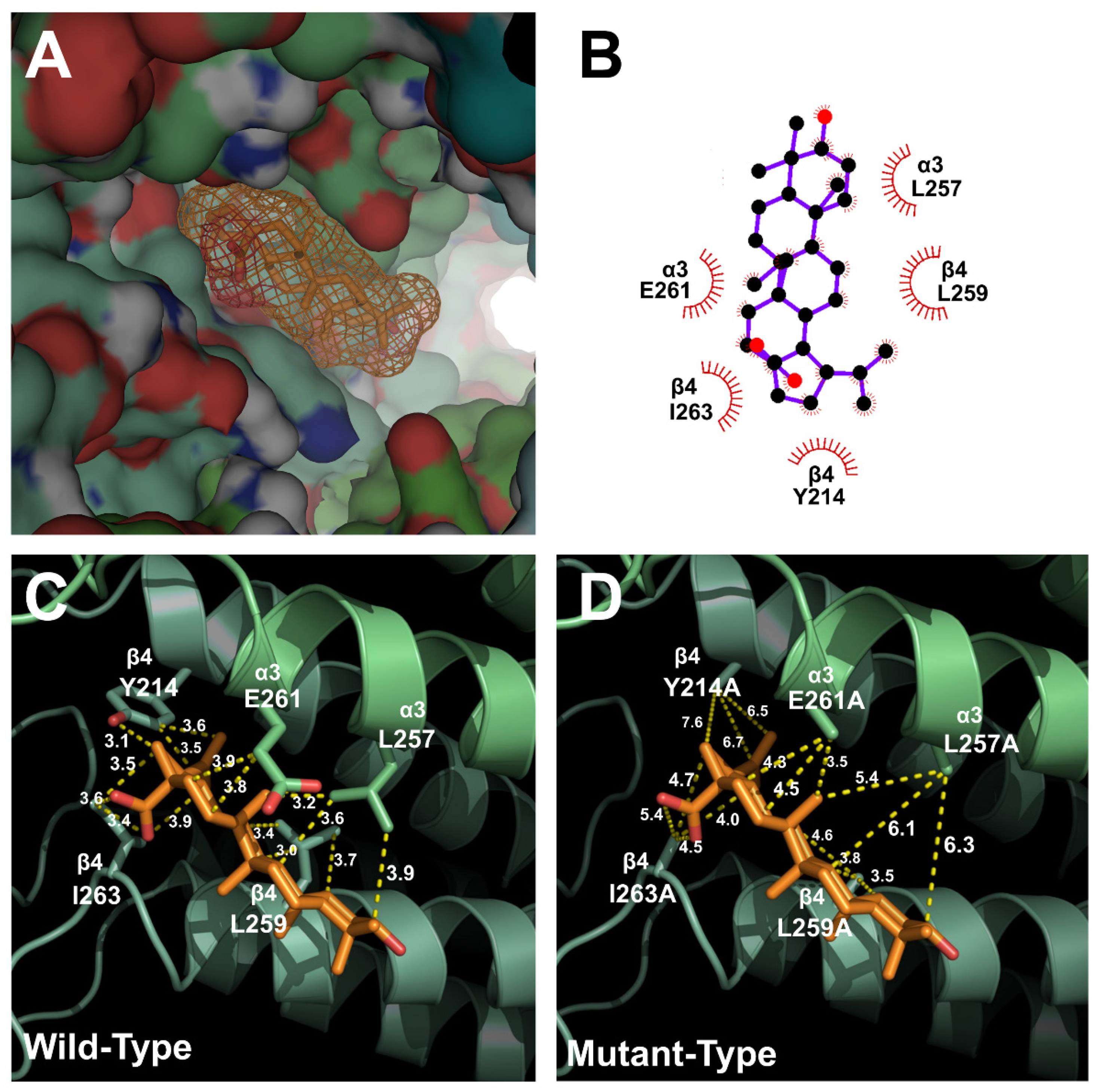 Molecules 26 02659 g004 Molecules 26 02659 g004