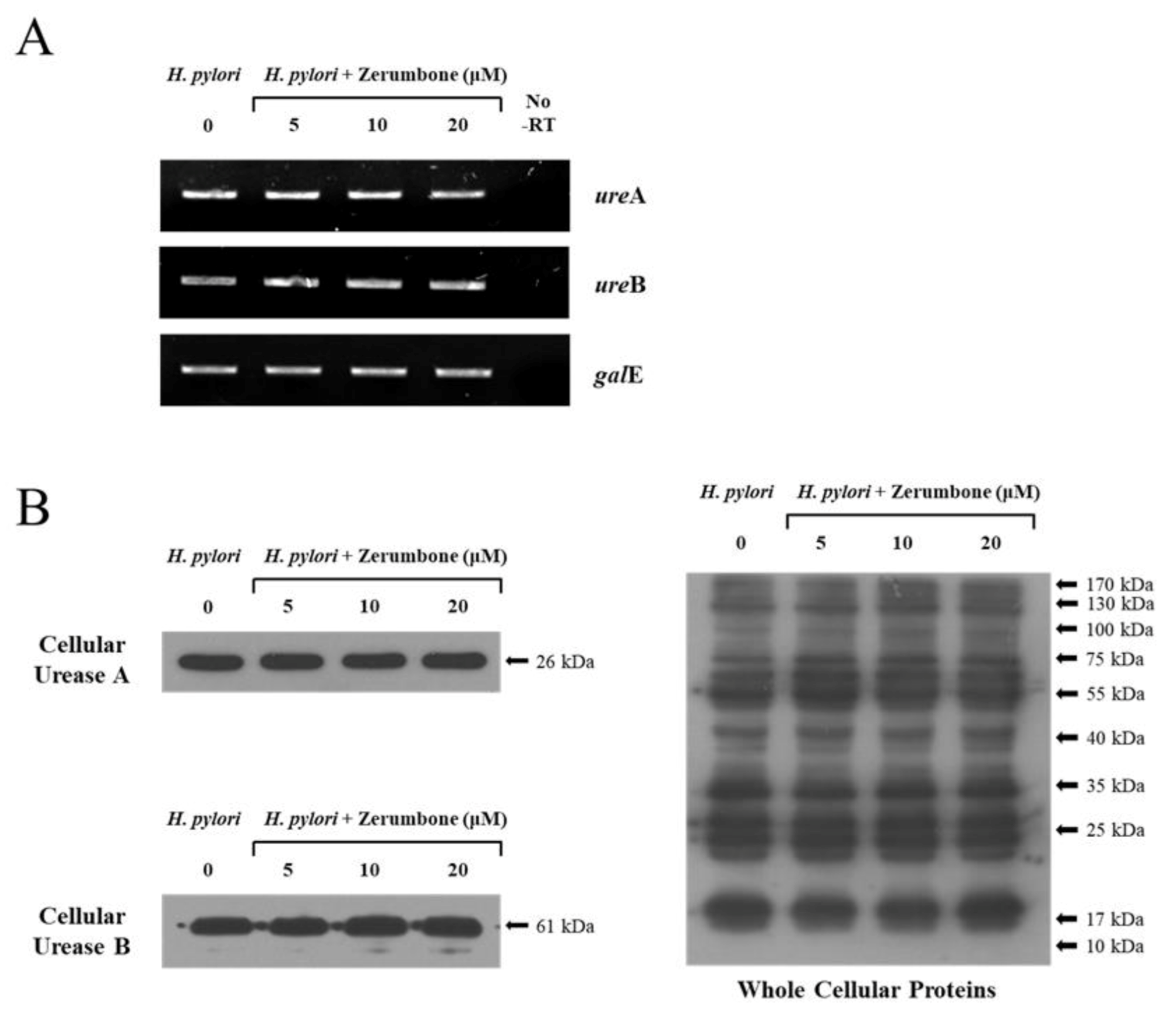 Molecules 26 02663 g002