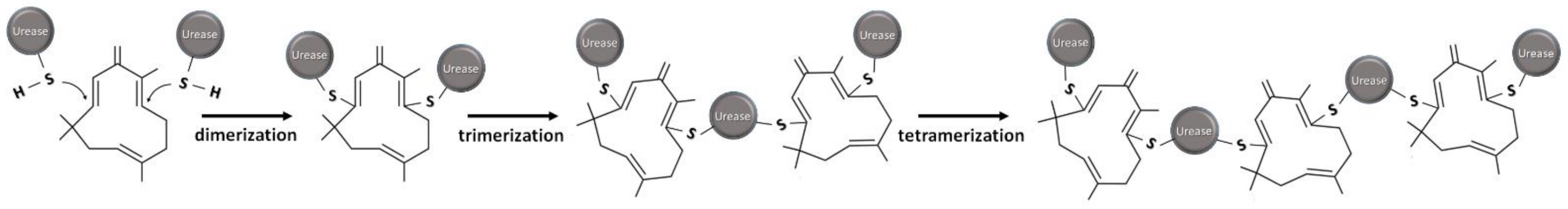 Molecules 26 02663 g006