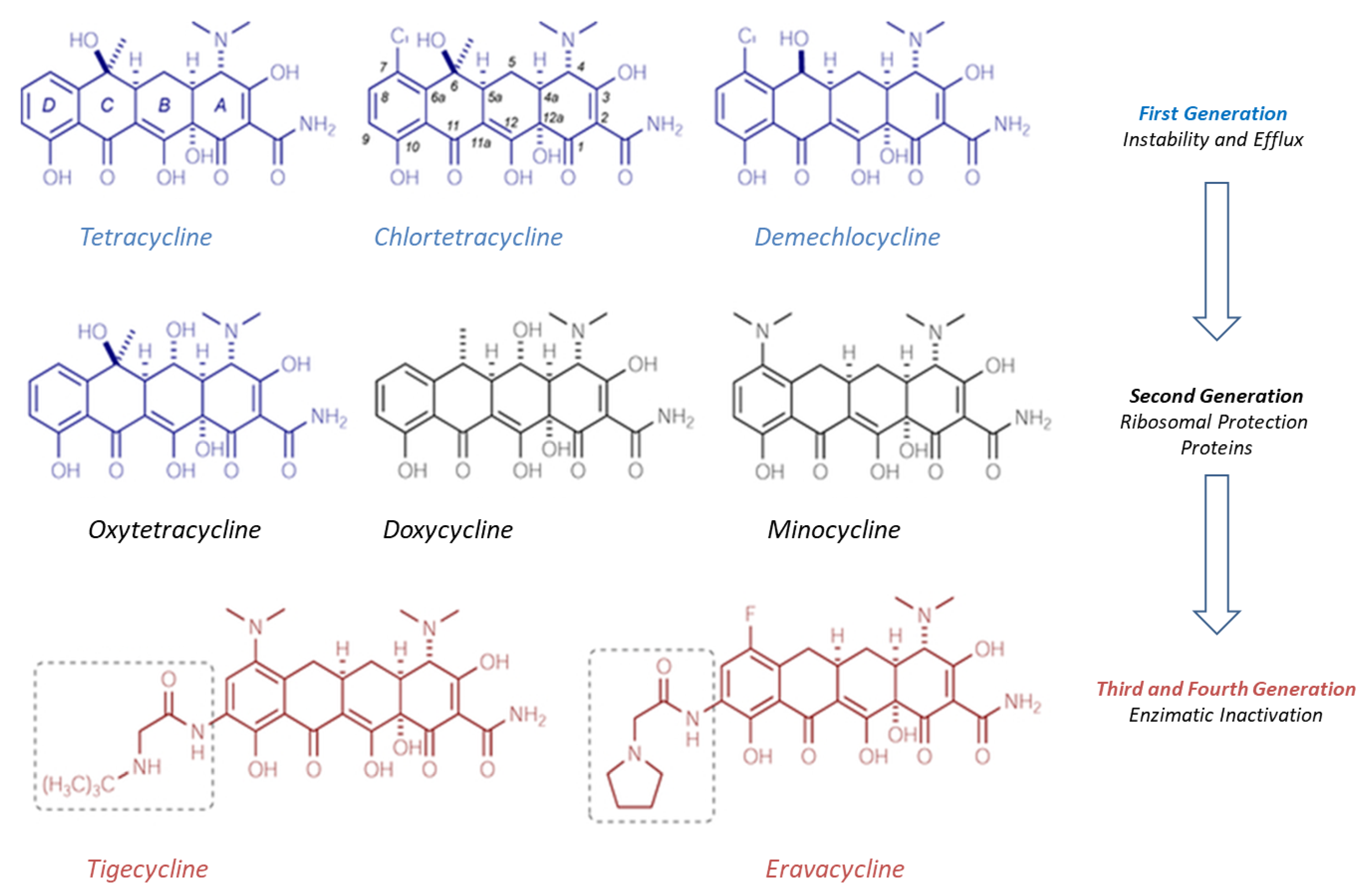 Molecules 26 02671 g003