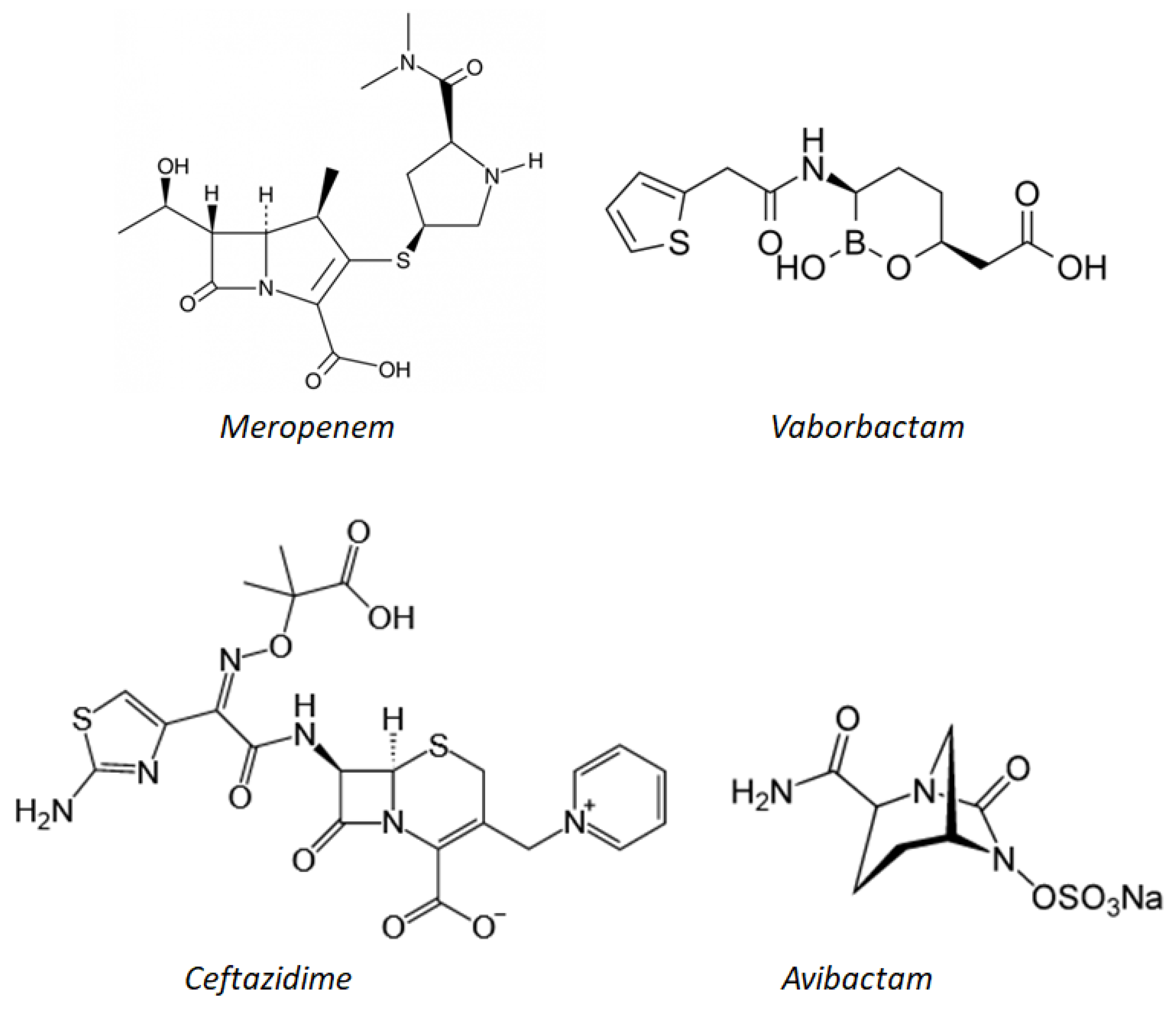 Molecules 26 02671 g005