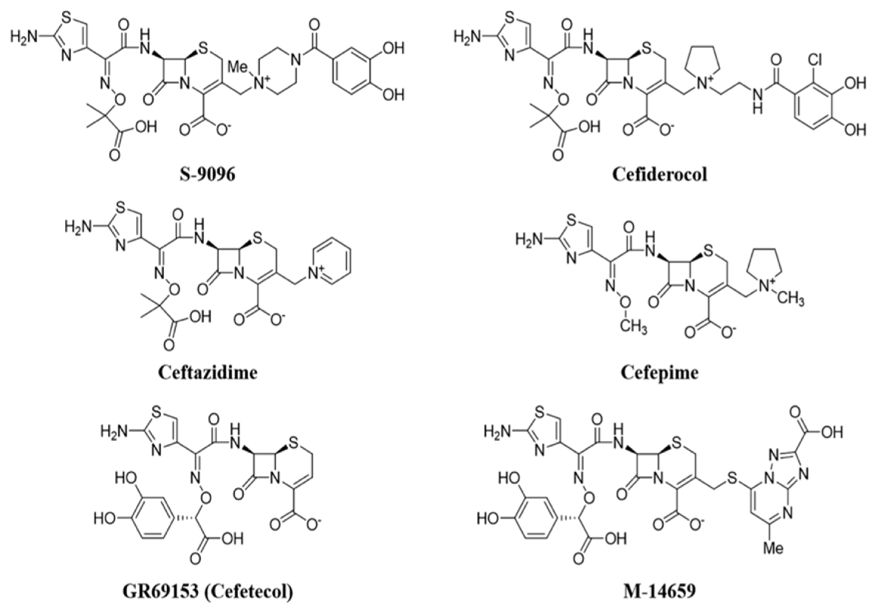 Molecules 26 02671 g009