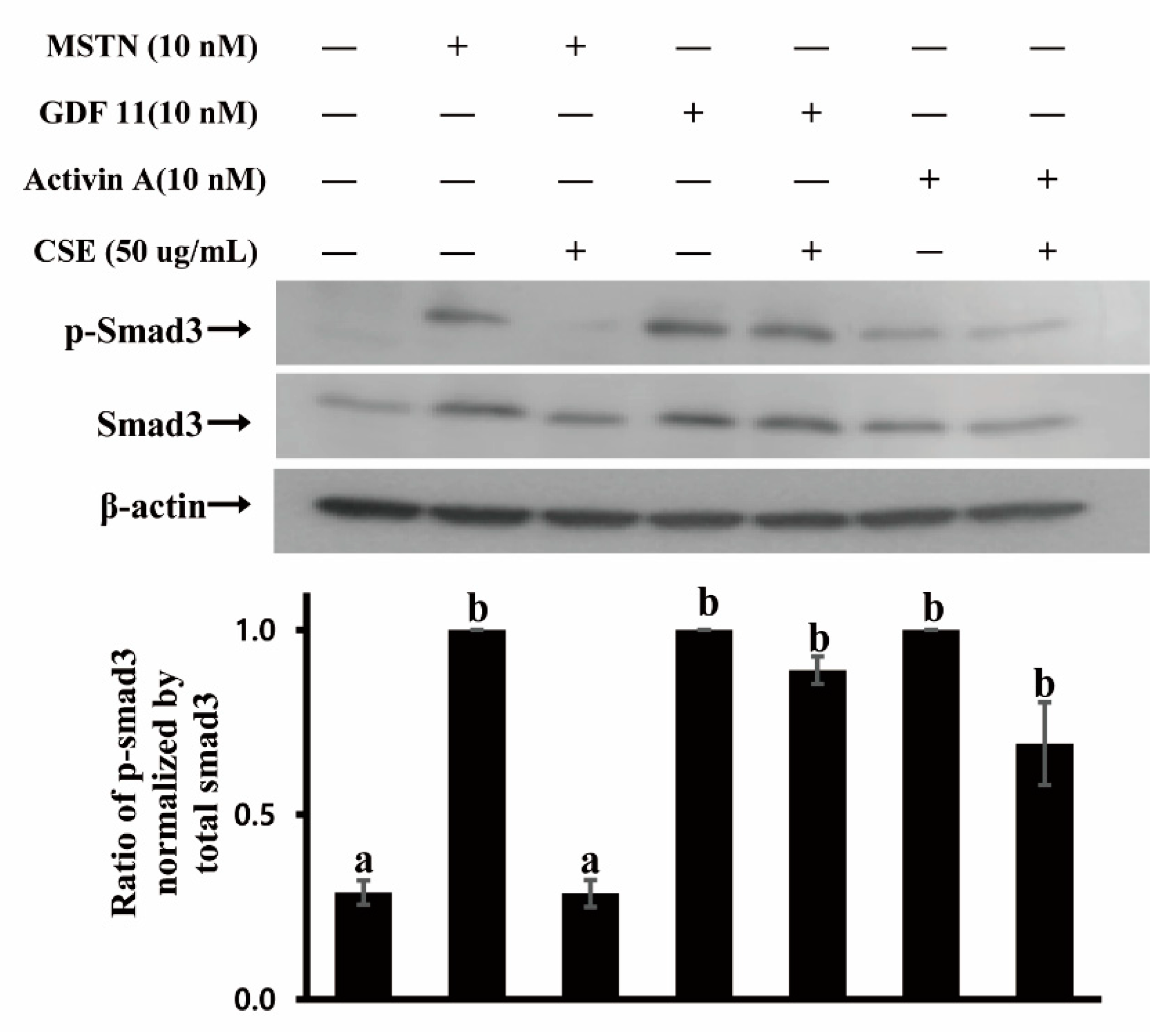 Molecules 26 02676 g003