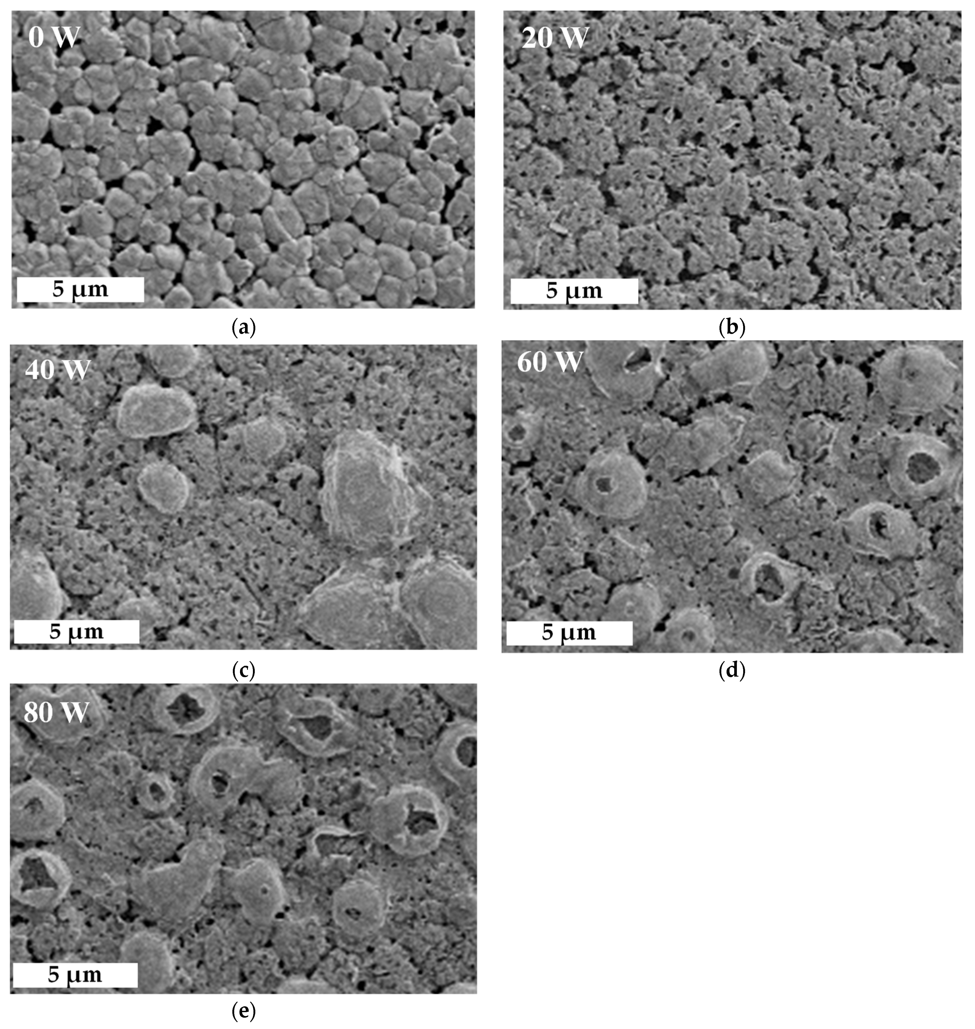 Molecules 26 02678 g004 Molecules 26 02678 g004