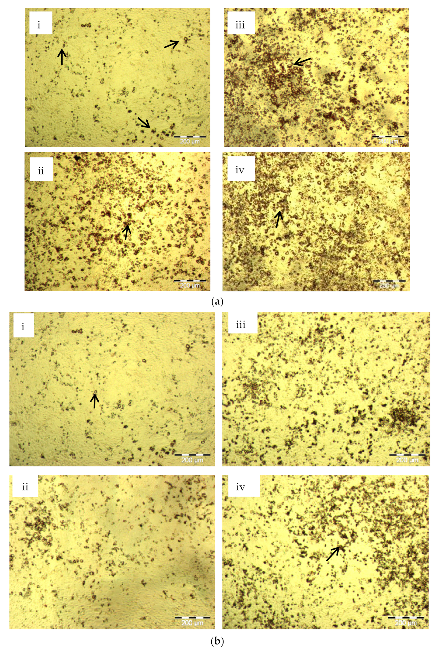 Molecules 26 02682 g003a