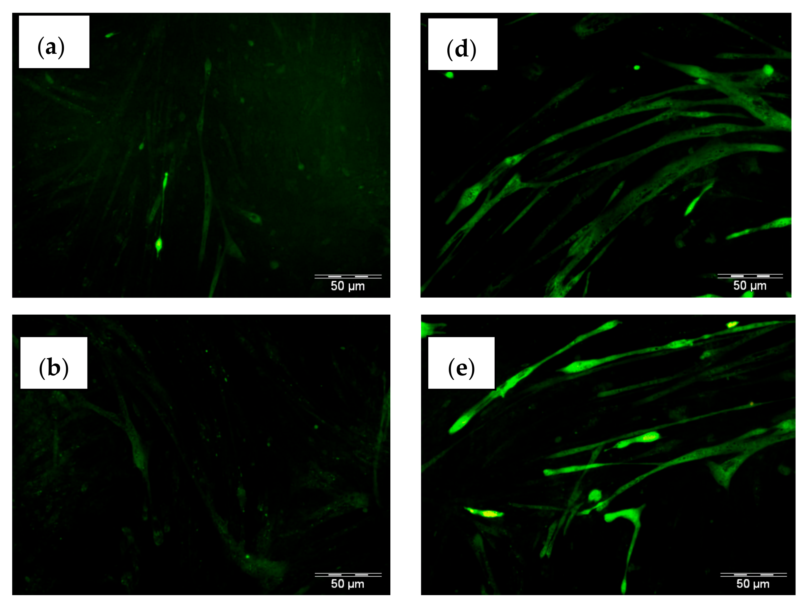 Molecules 26 02682 g005a