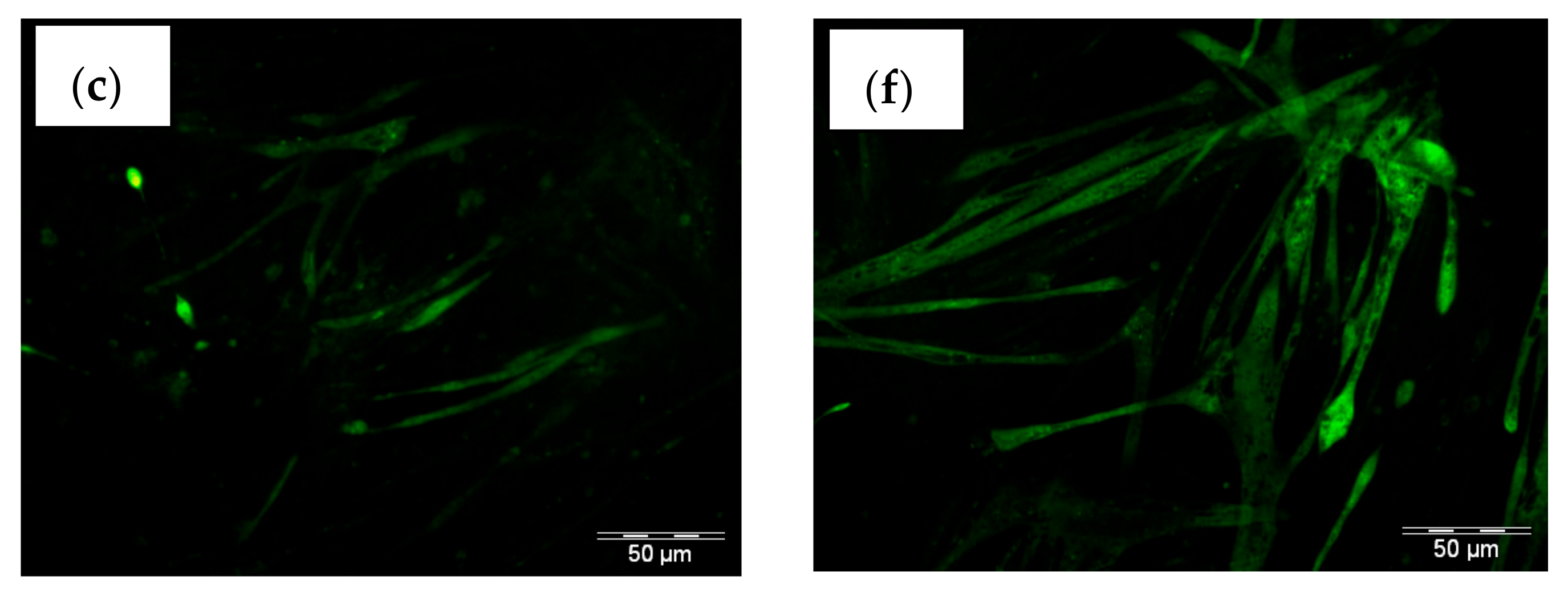 Molecules 26 02682 g005b