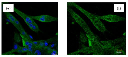 Molecules 26 02682 g006b
