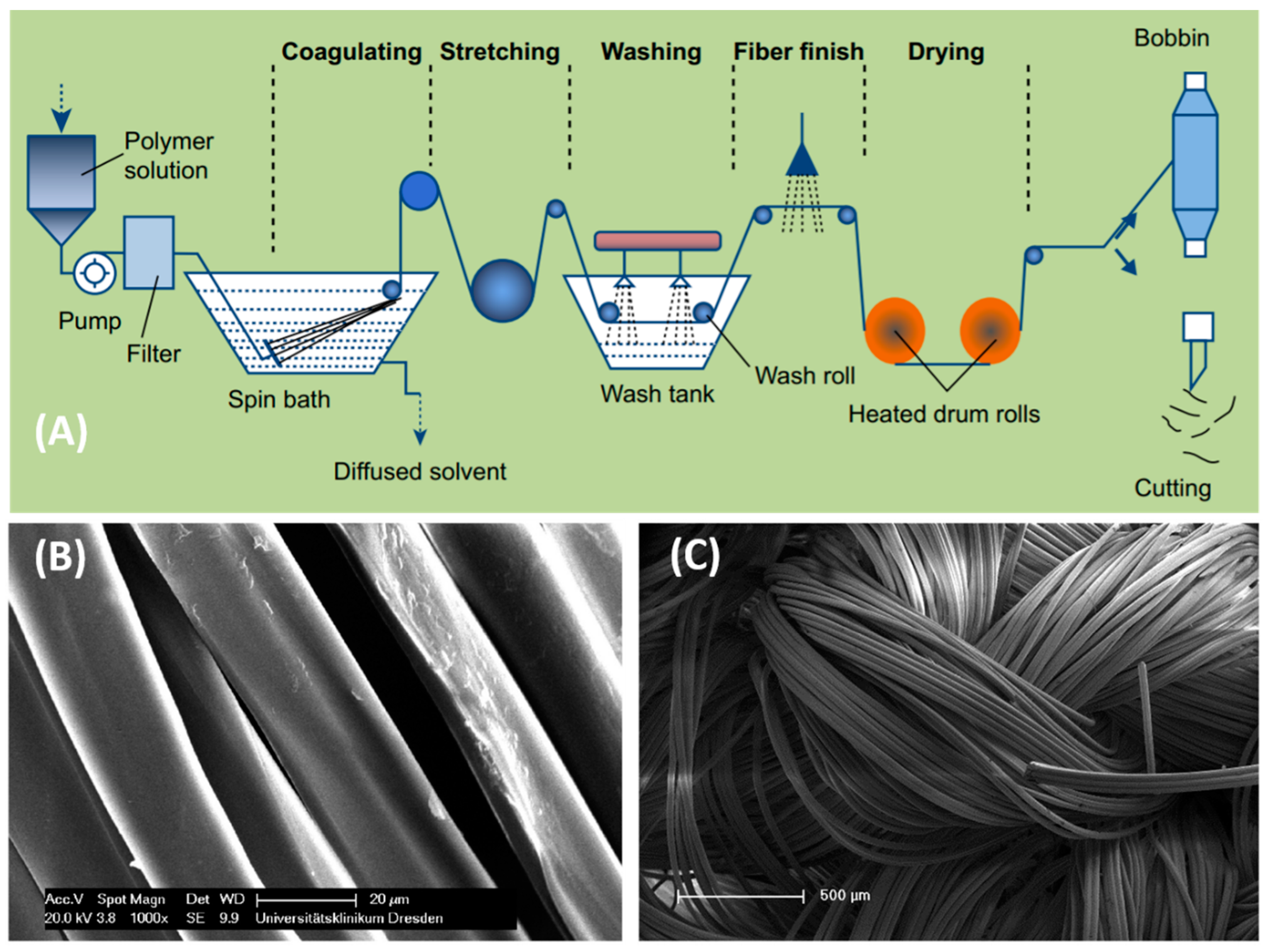 Molecules 26 02683 g003