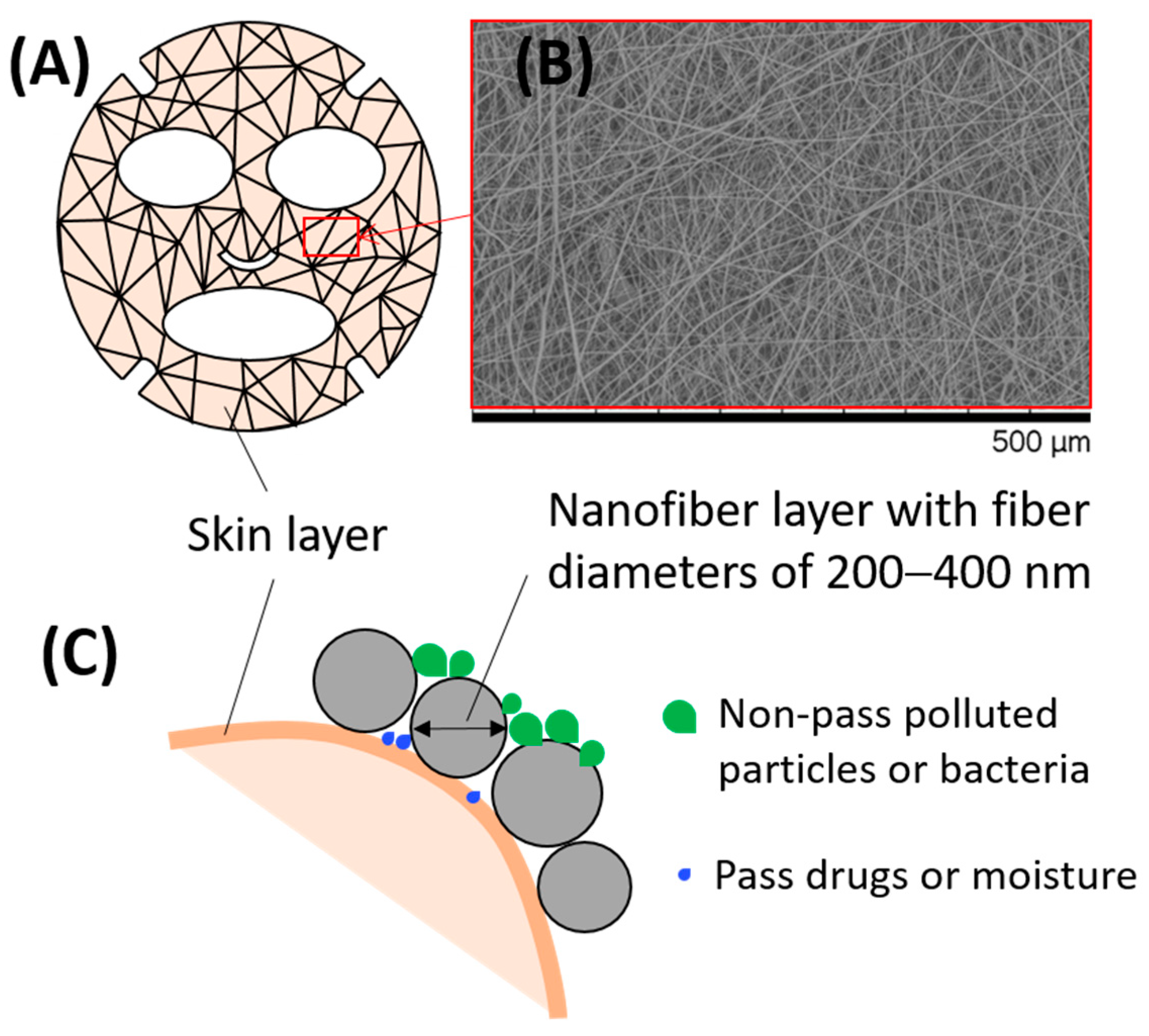 Molecules 26 02683 g005