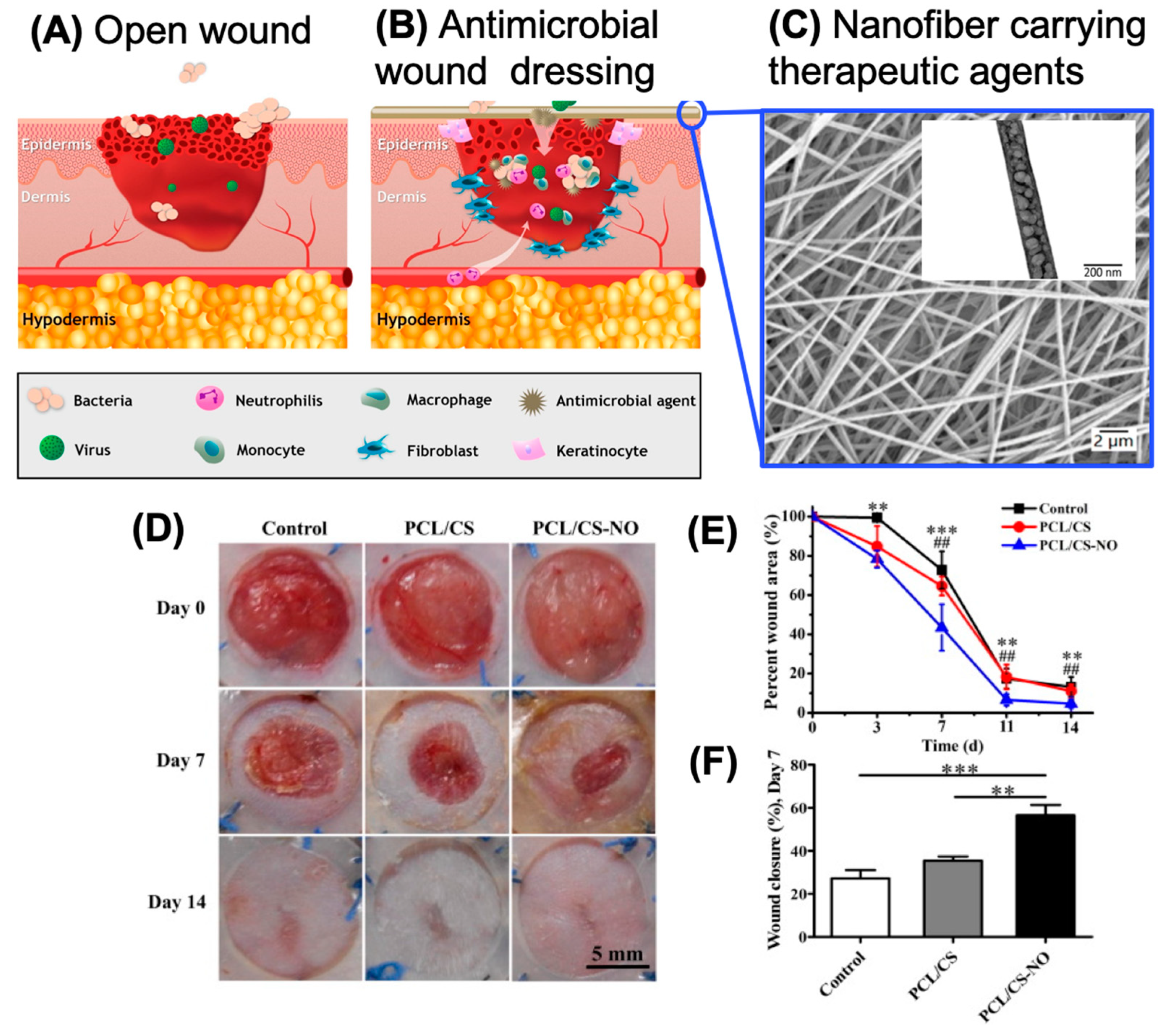 Molecules 26 02683 g006