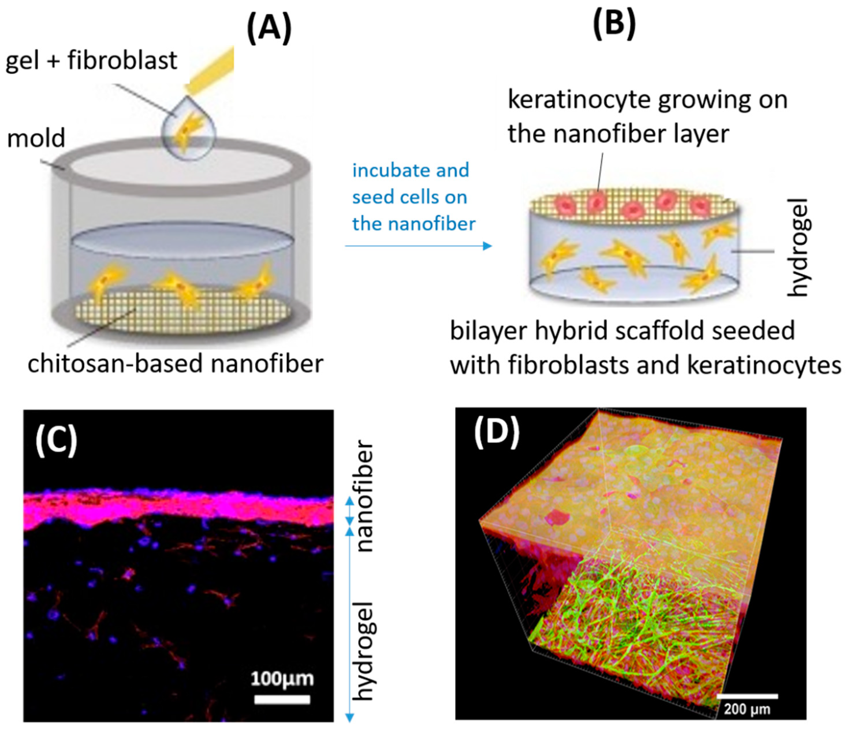 Molecules 26 02683 g007