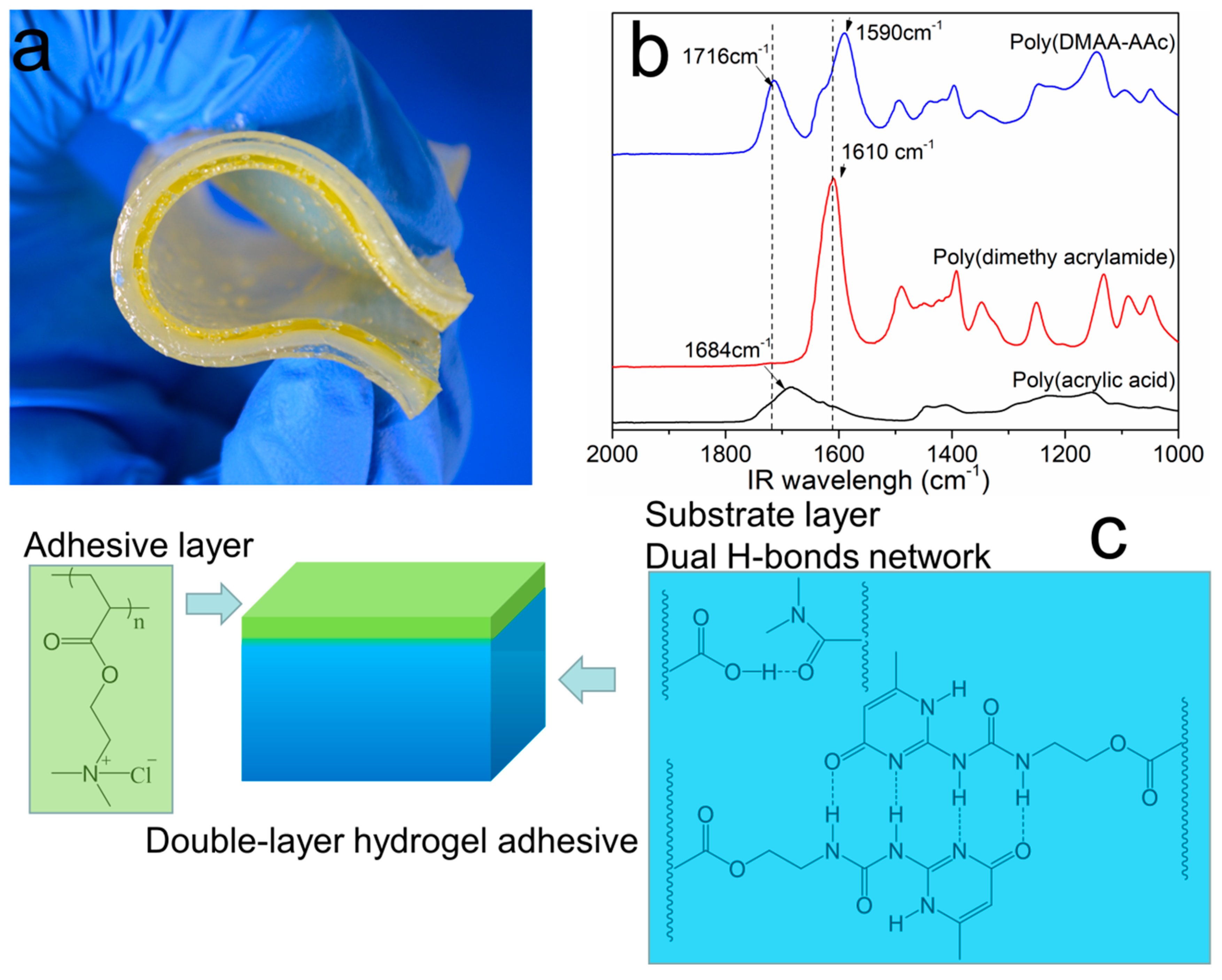 Molecules 26 02688 g001