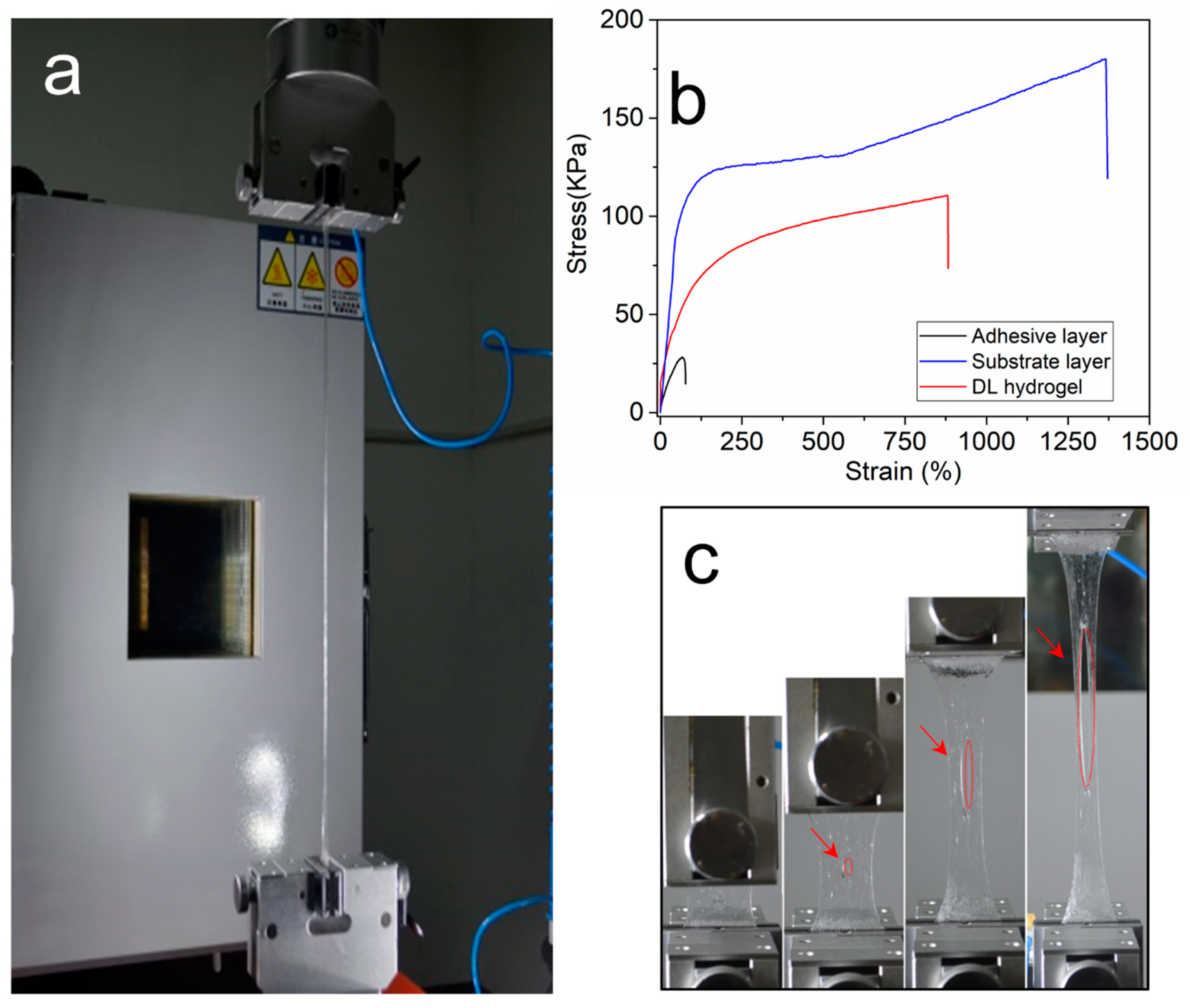 Molecules 26 02688 g002
