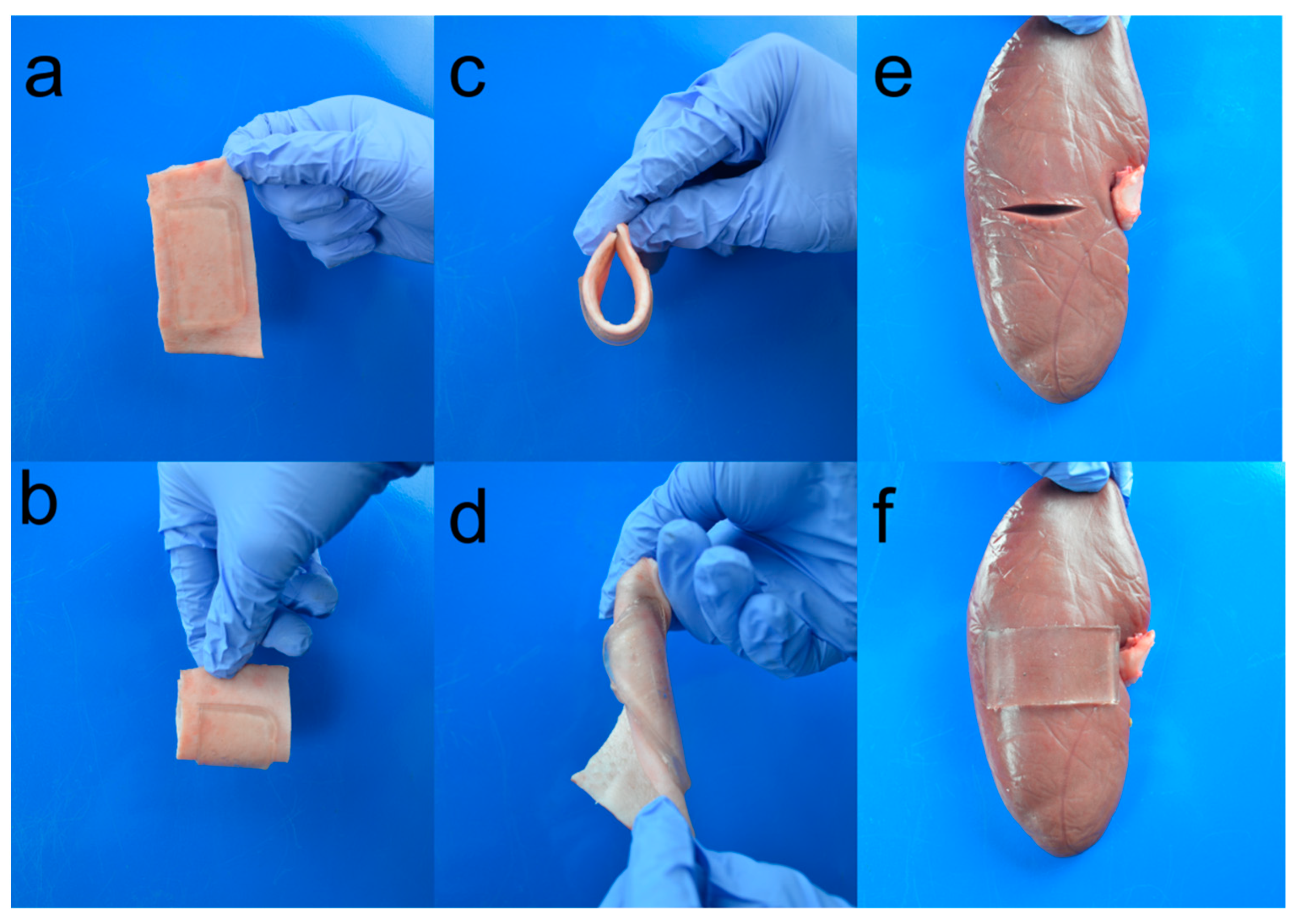 Molecules 26 02688 g004