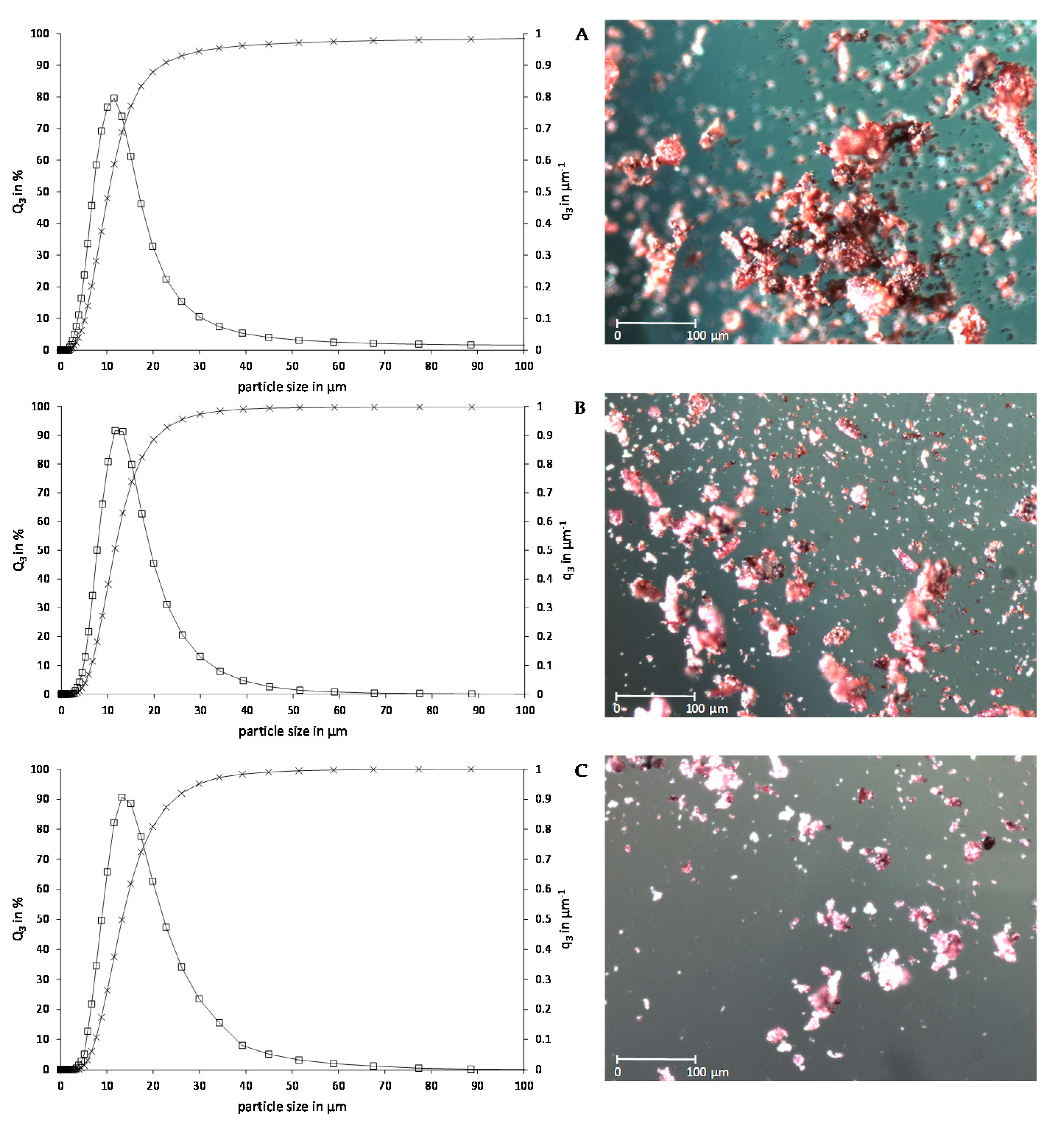 Molecules 26 02689 g001